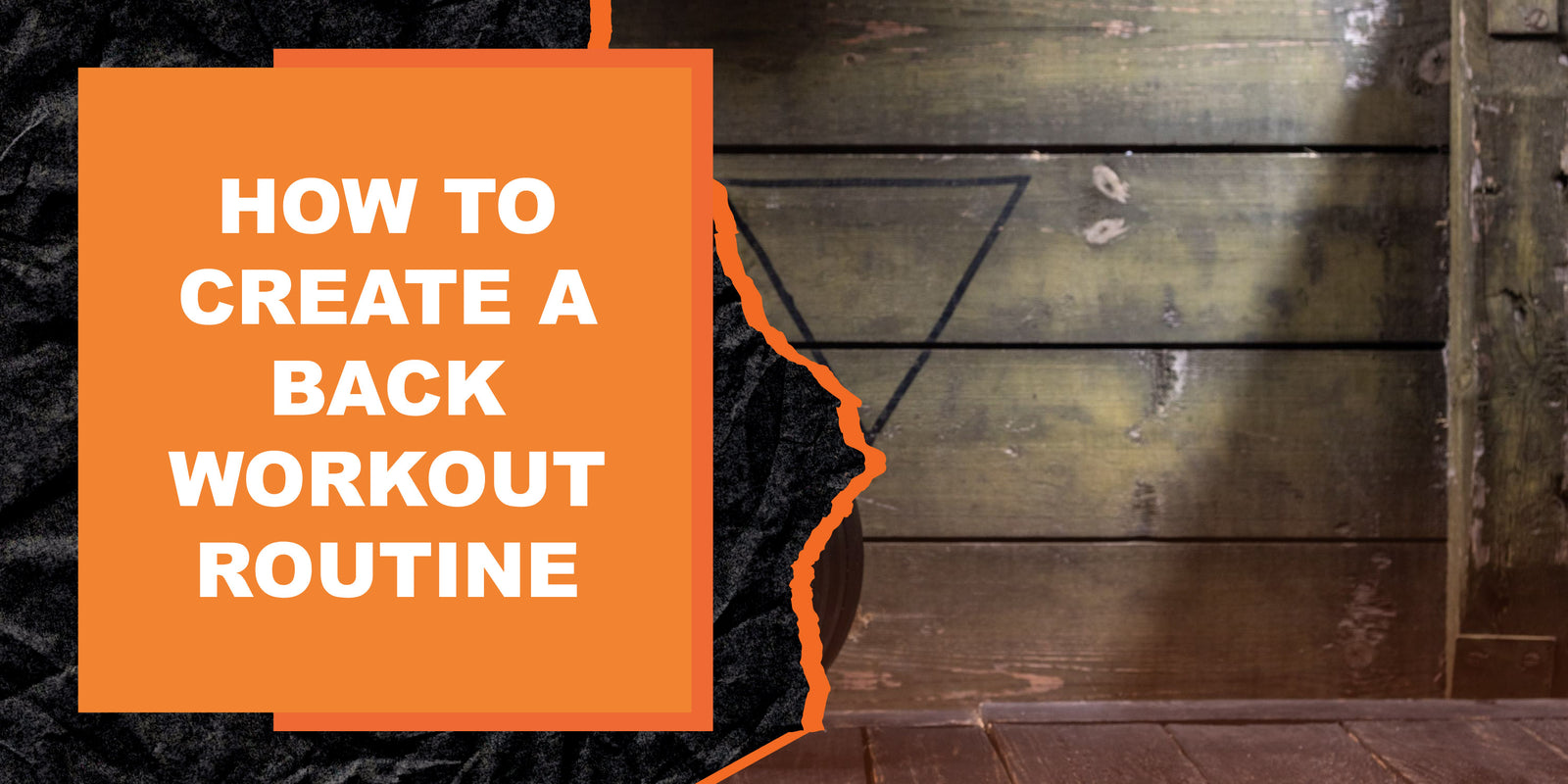 How to Create a Back Workout Routine