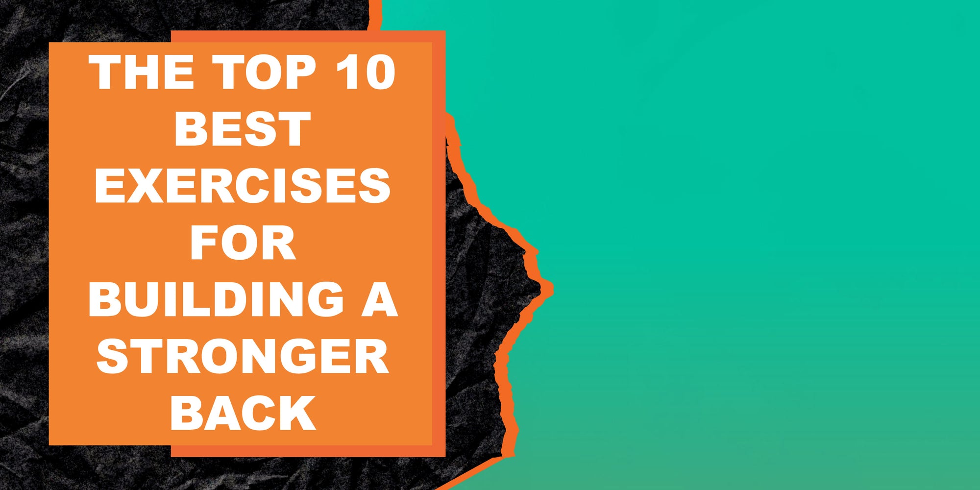 The Top 10 Best Exercises for Building a Stronger Back
