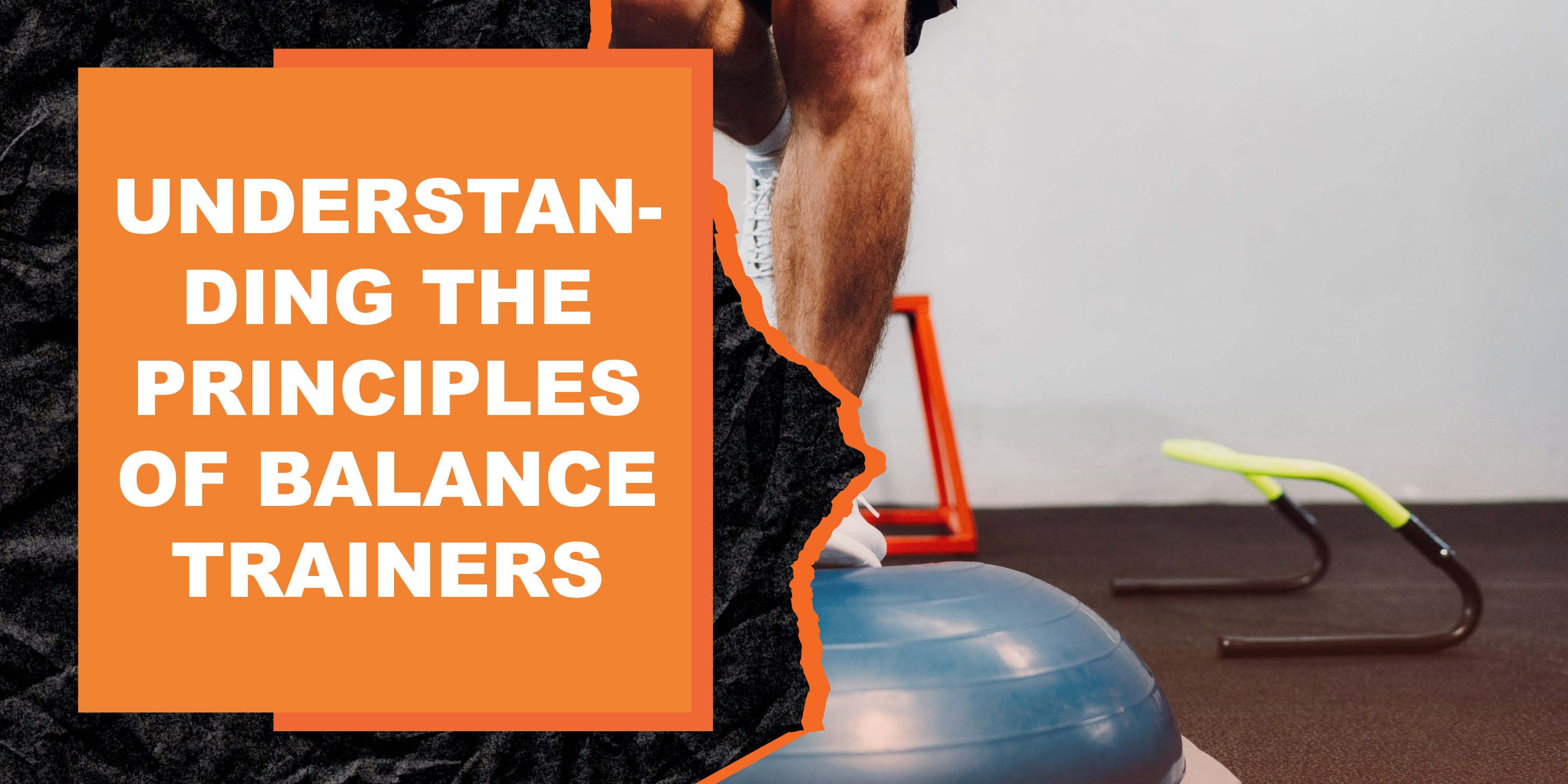 Understanding the Principles of Balance Trainers | MAGMA Fitness