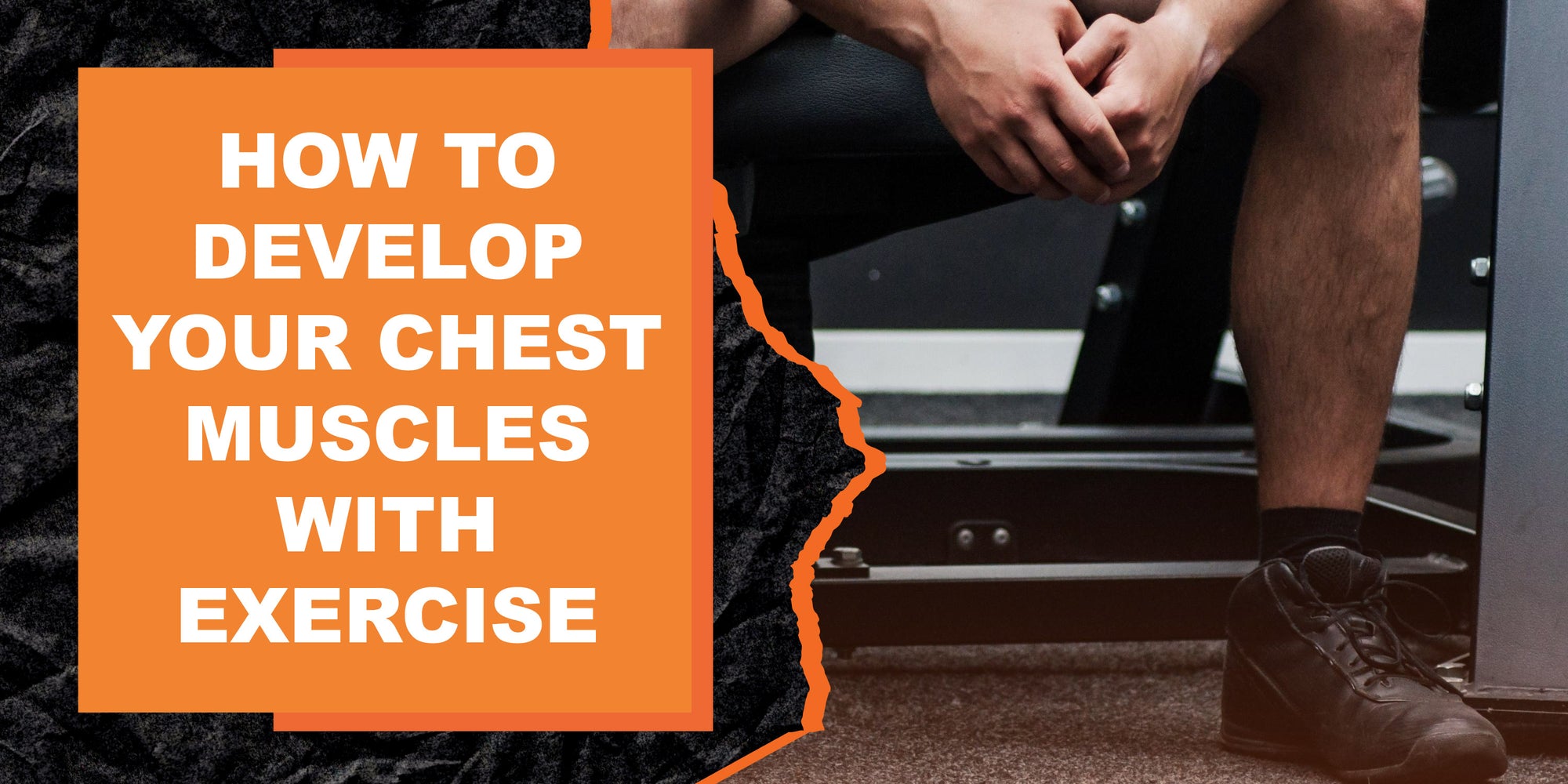 How to Develop Your Chest Muscles with Exercise