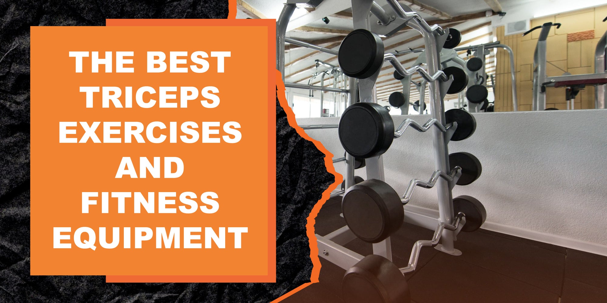 Working Out with the Best Triceps Exercises and Fitness Equipment