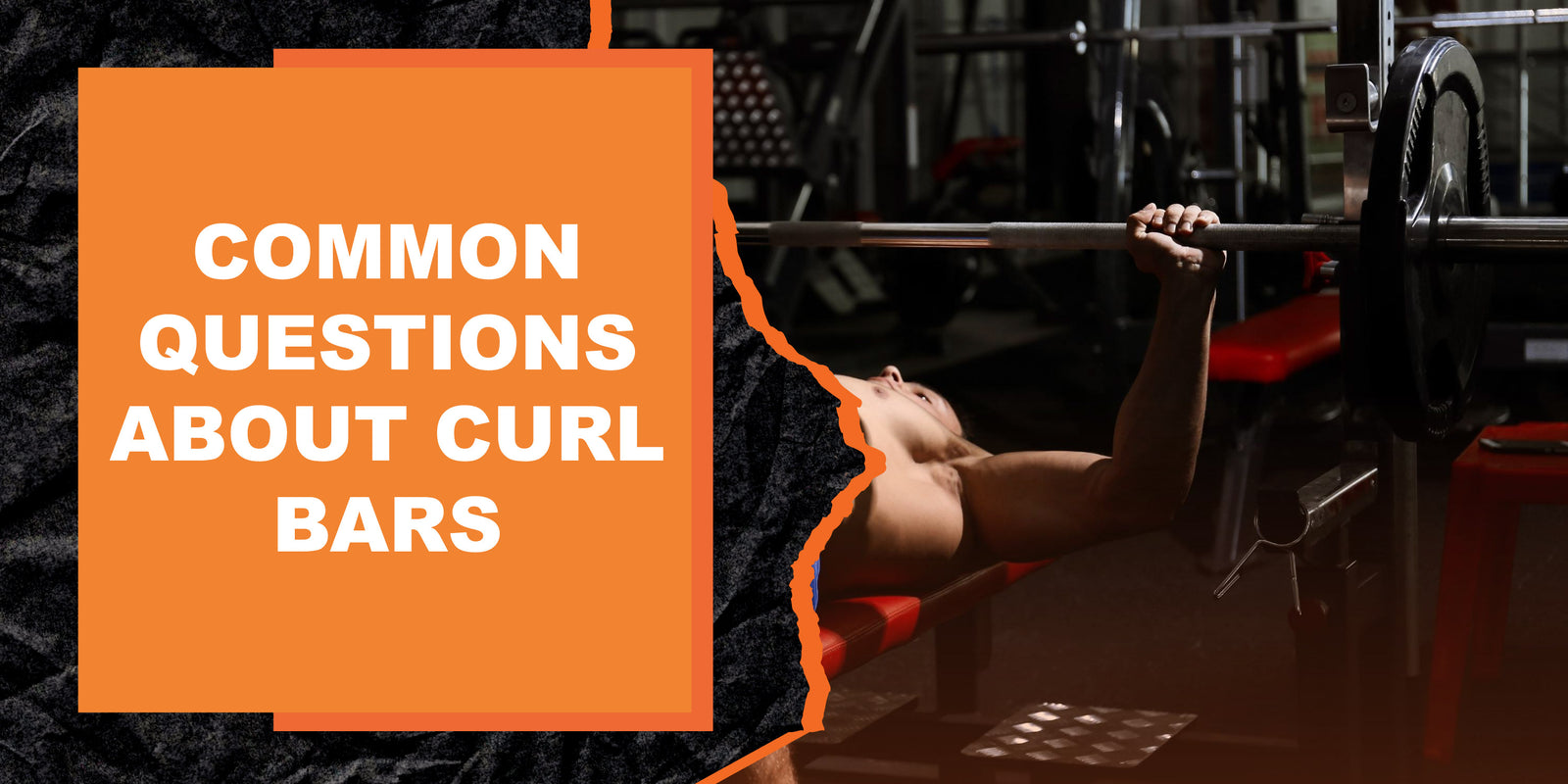 Common Questions About Curl Bars