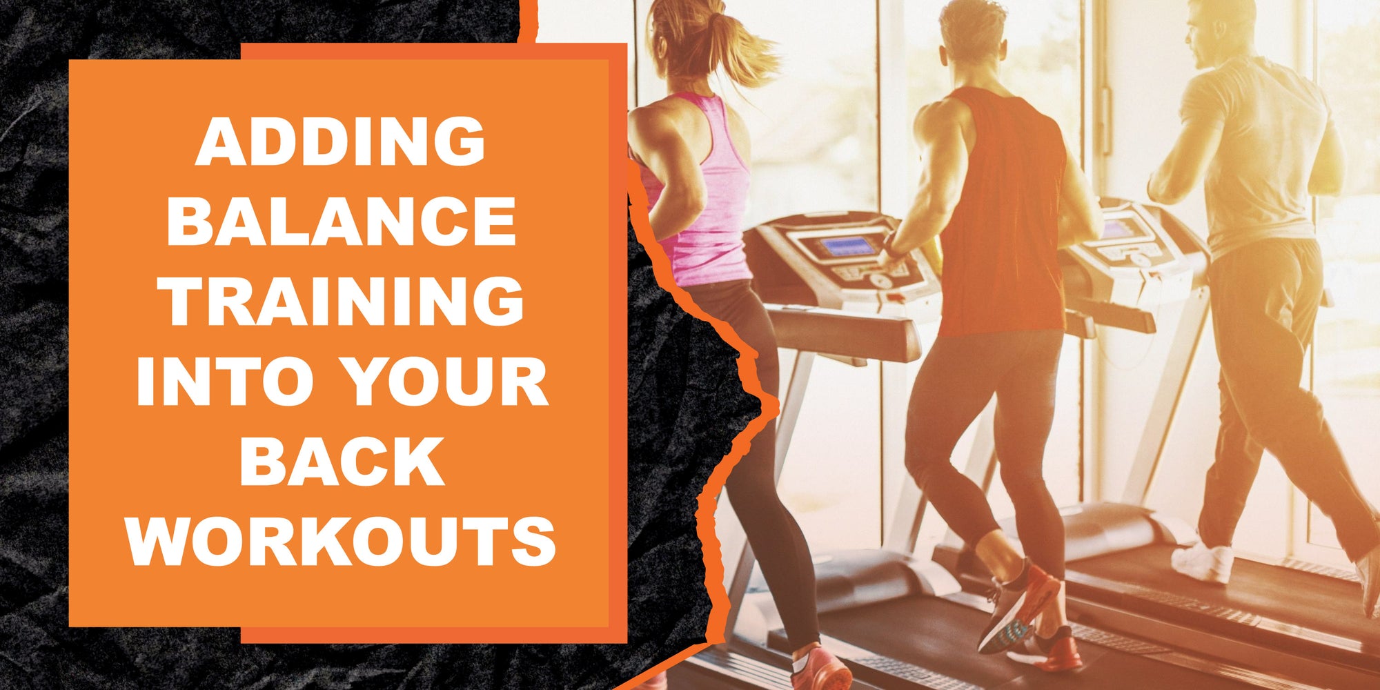 How to Incorporate Balance Training into Your Back Workouts