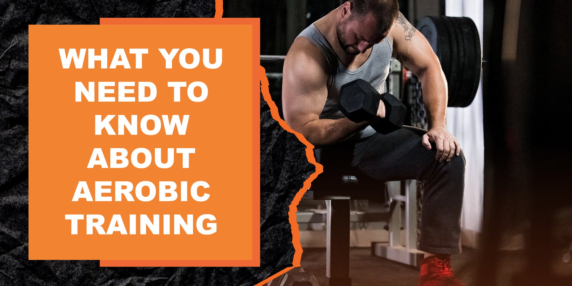 What You Need to Know About Aerobic Training