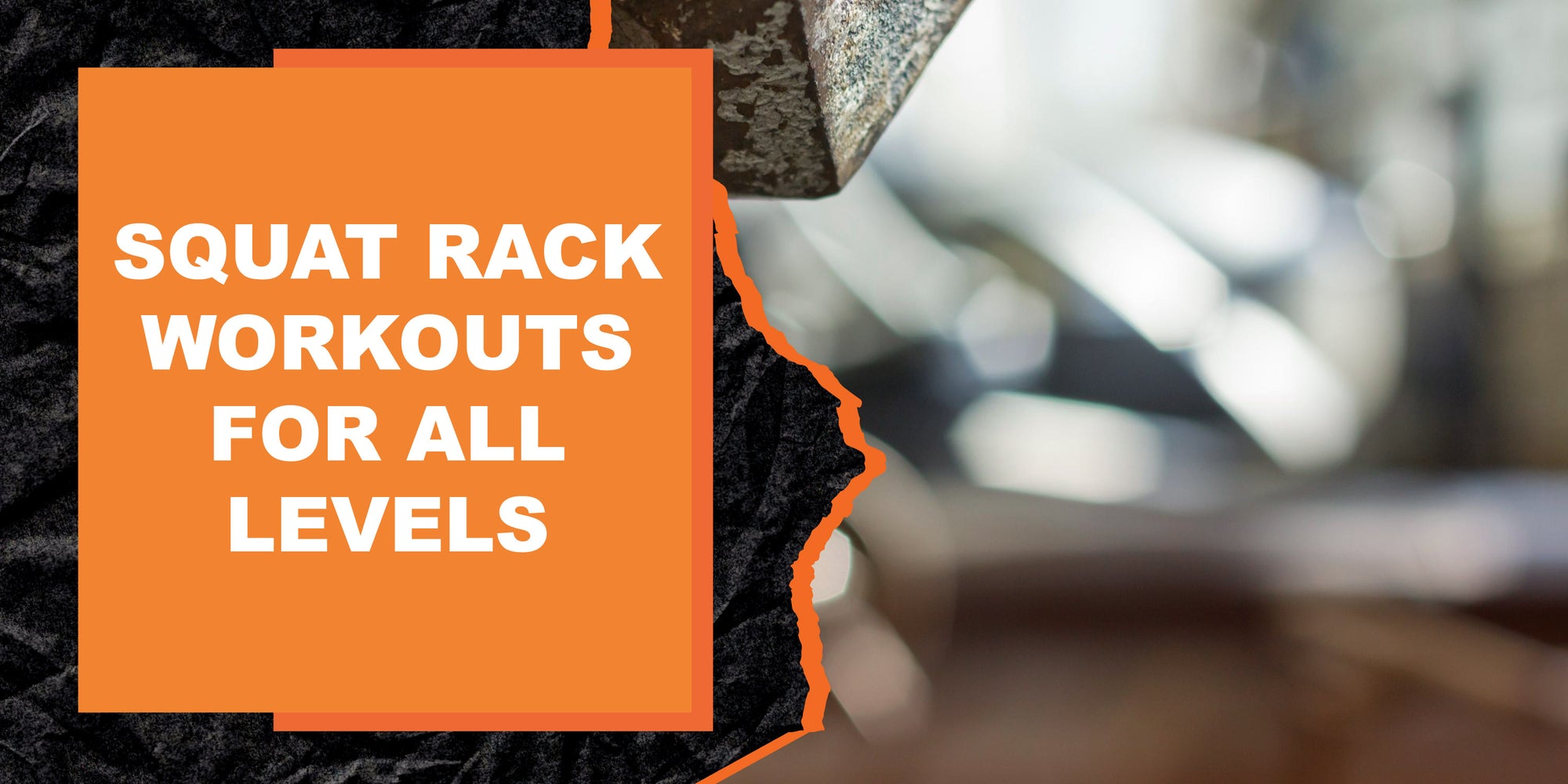 Weight Rack Workout Routine Squat Rack Workouts for All Levels | MAGMA Fitness