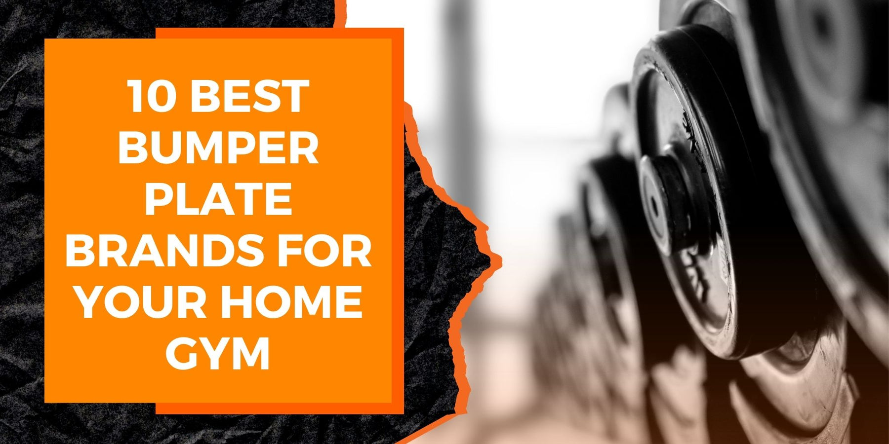 10 Best Bumper Plate Brands for Your Home Gym MAGMA Fitness