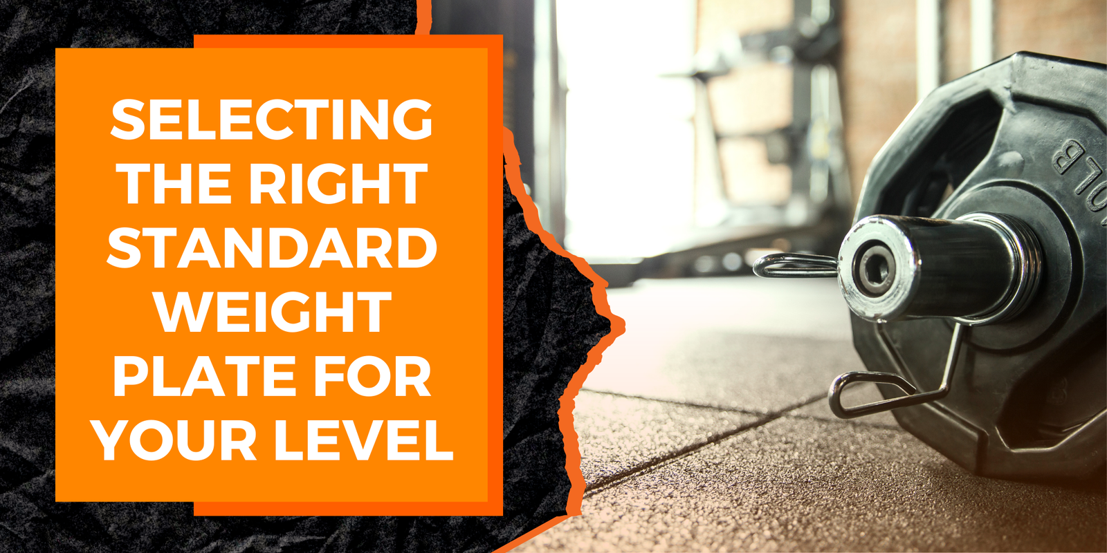 Selecting the Right Standard Weight Plate for Your Level