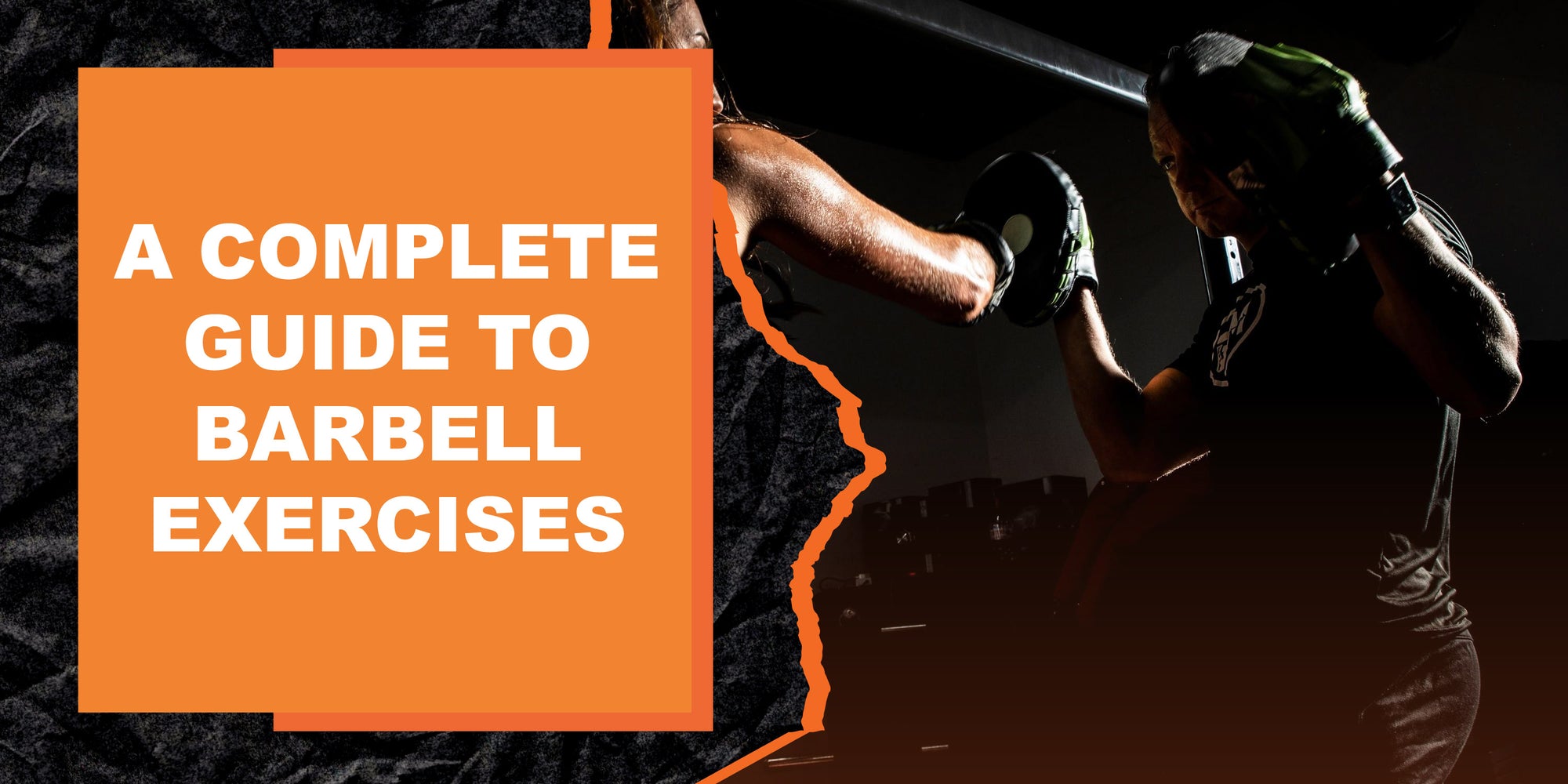 A Complete Guide to Barbell Exercises