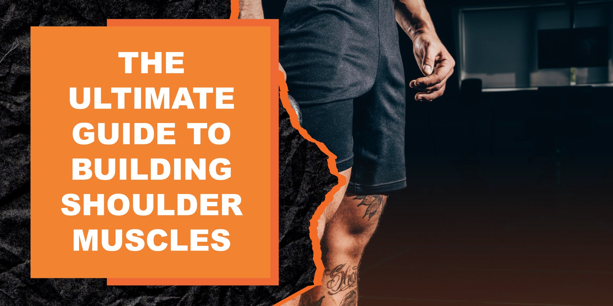 The Ultimate Guide to Building Shoulder Muscles