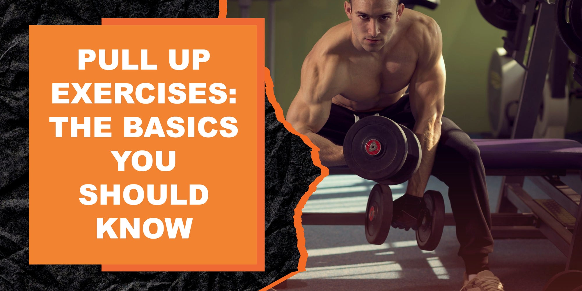 Pull Up Exercises: The Basics You Should Know