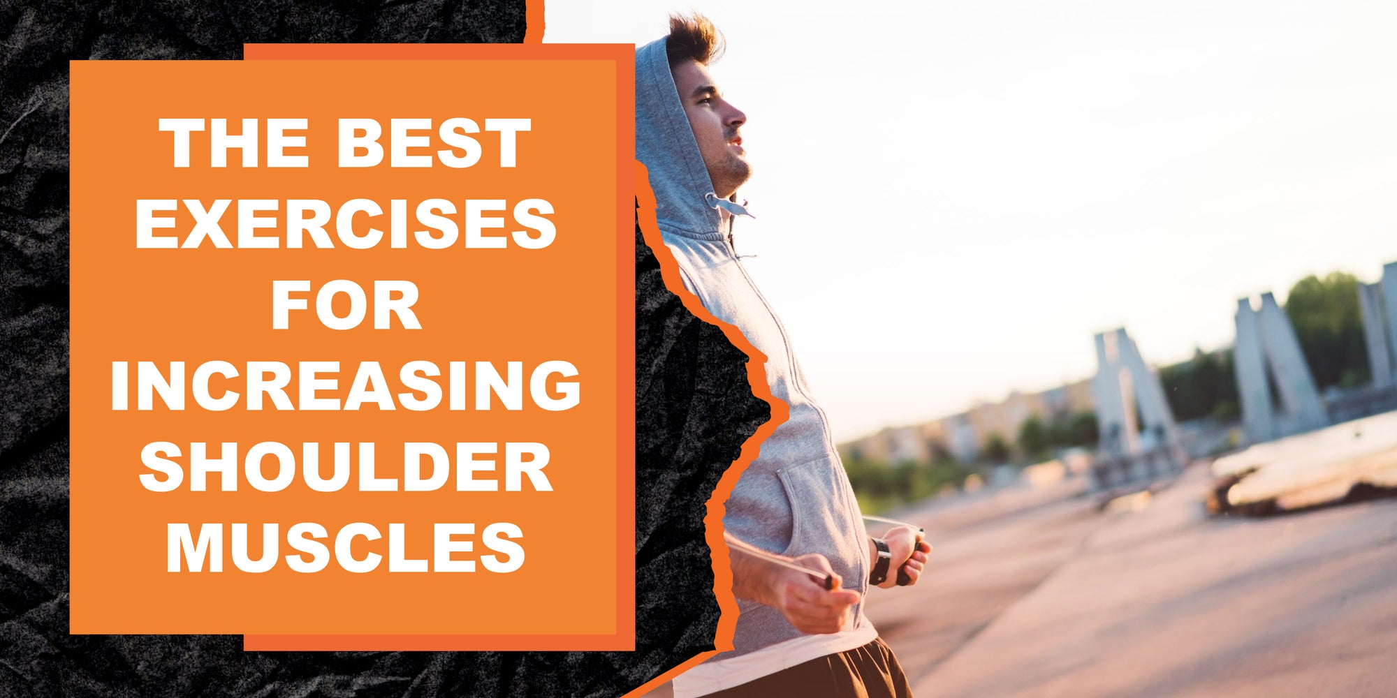 The Best Exercises for Increasing Shoulder Muscles