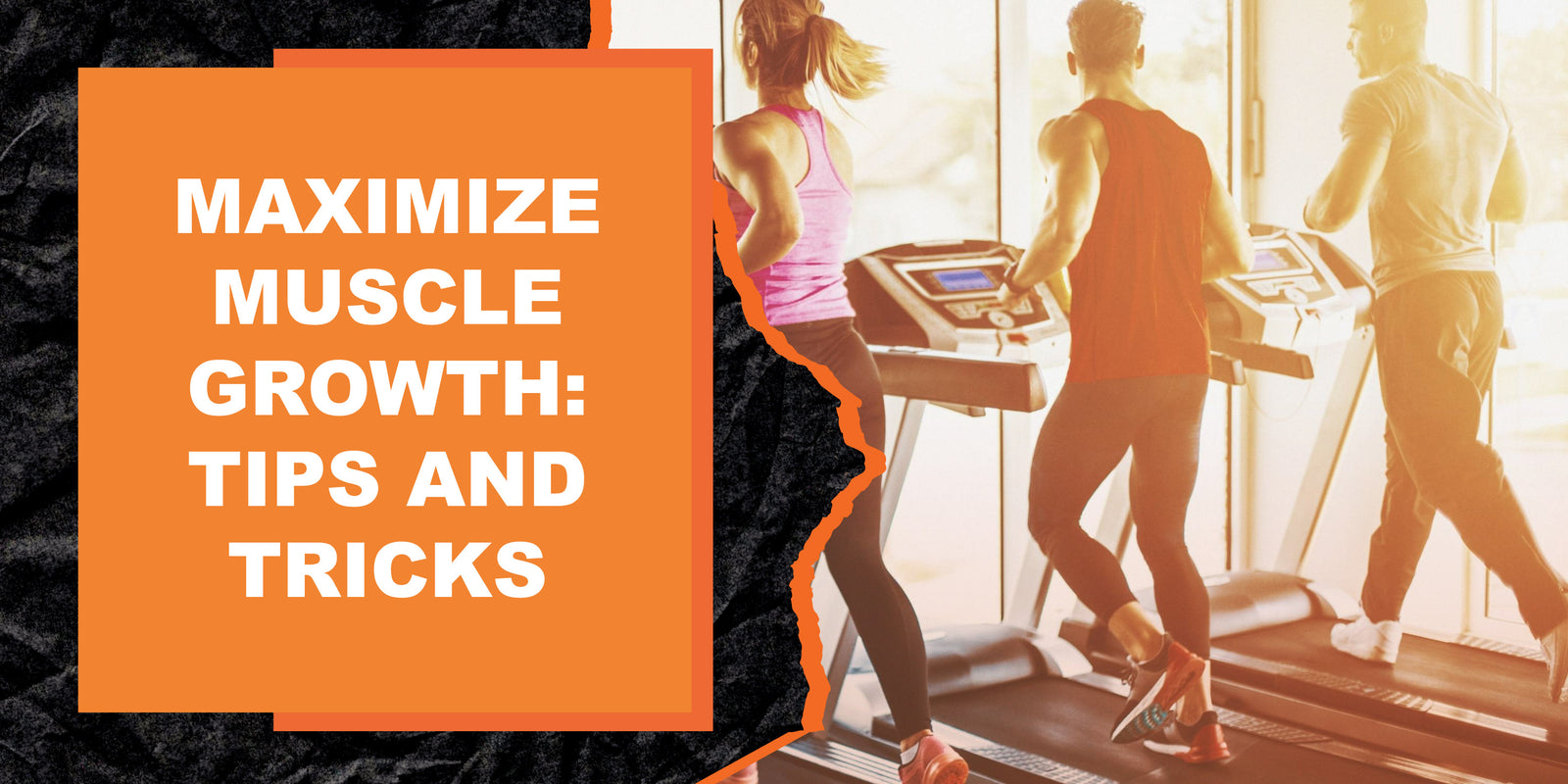 Maximizing Muscle Growth: Tips and Tricks for a Successful Workout