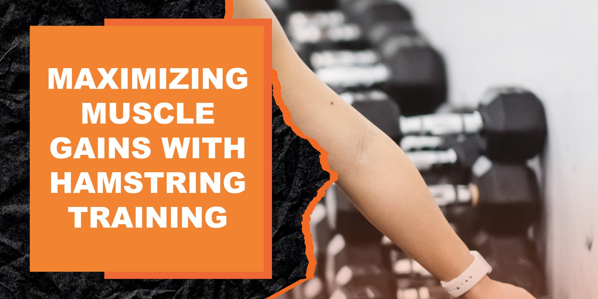 Maximizing Muscle Gains with Hamstring Training