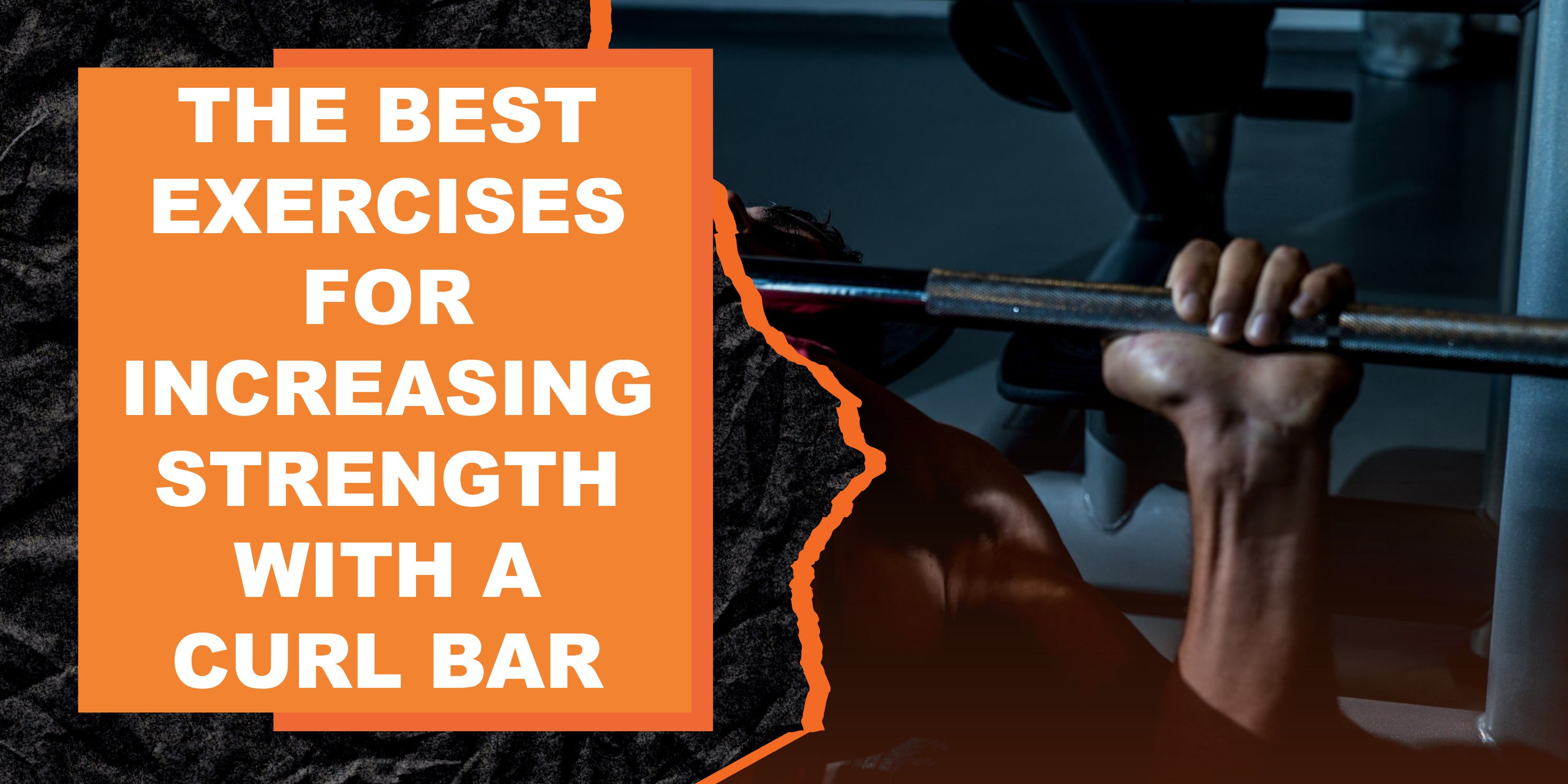 The Best Exercises for Increasing Strength with a Curl Bar | MAGMA Fitness