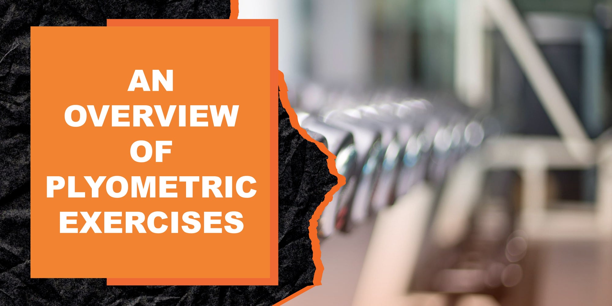 An Overview of Plyometric Exercises | MAGMA Fitness