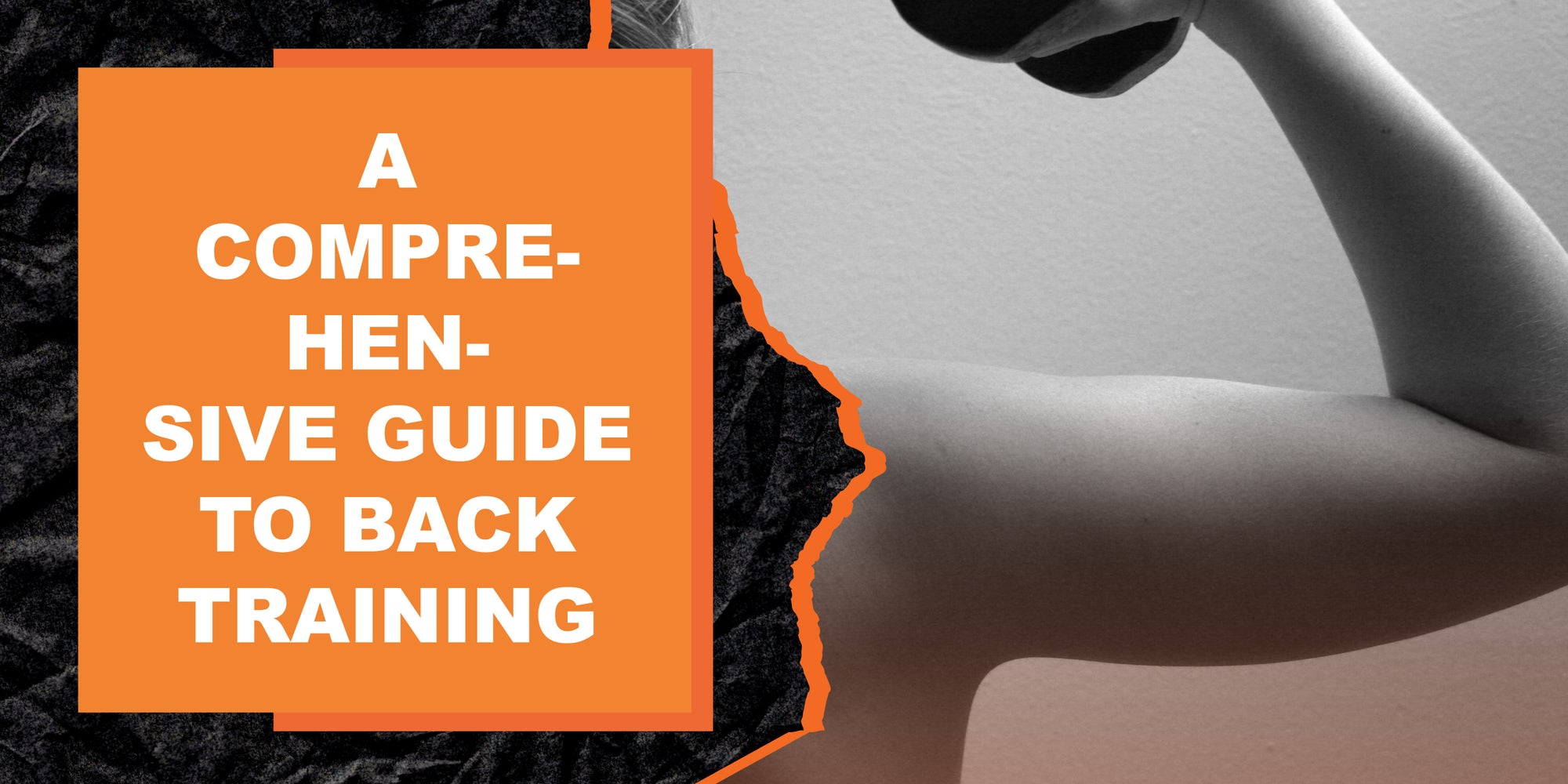 A Comprehensive Guide to Back Training