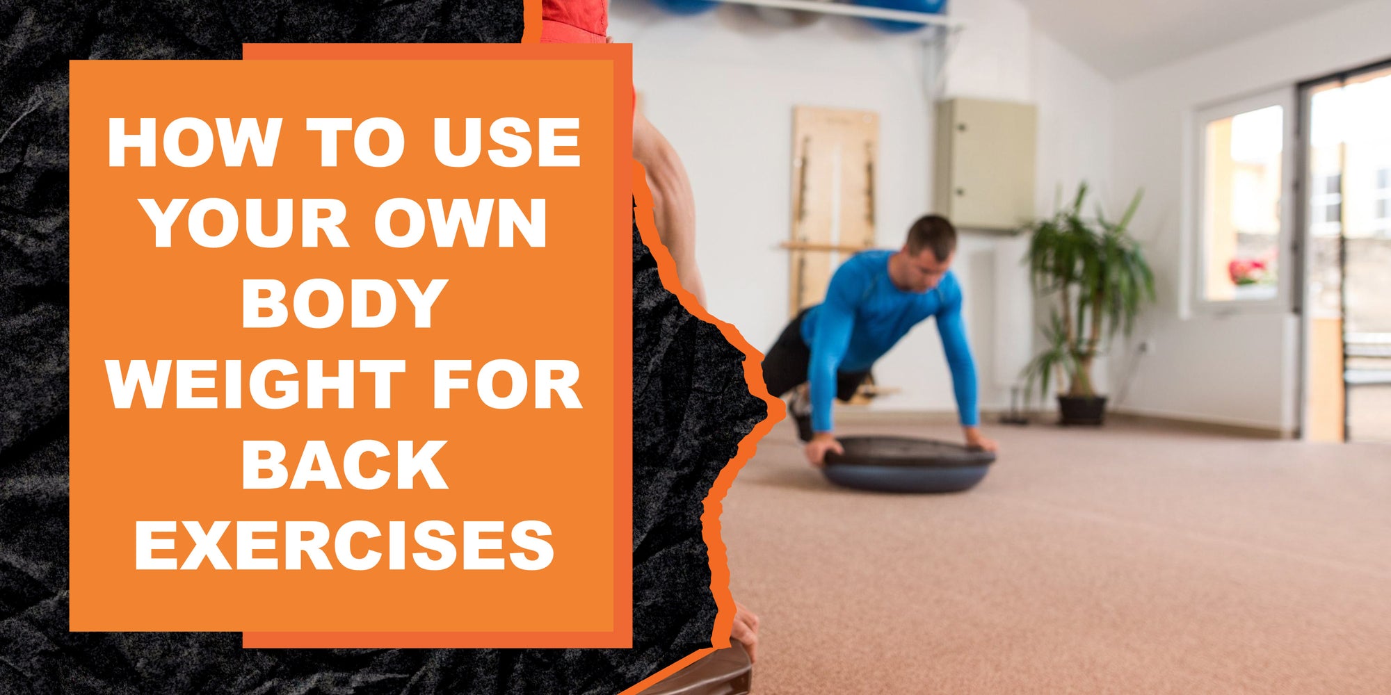 How to Use Your Own Body Weight for Back Exercises