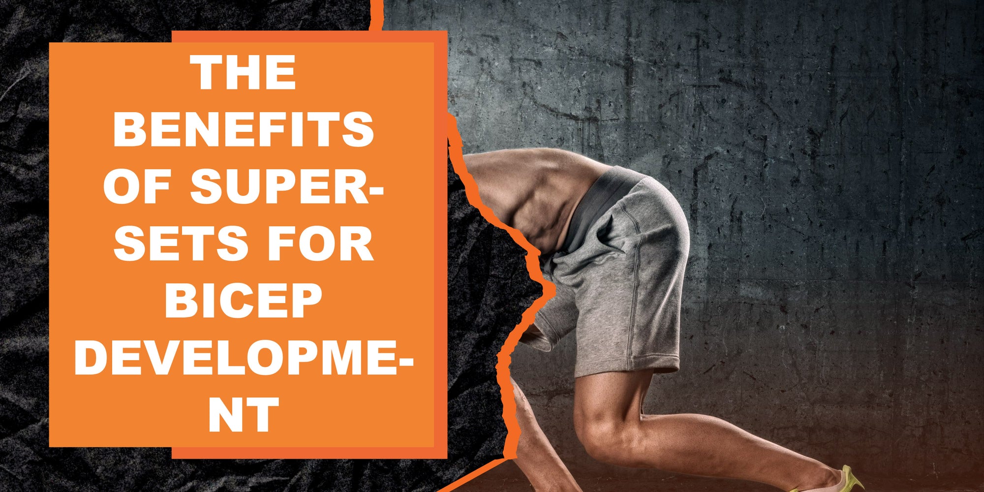 The Benefits of Super-Sets for Bicep Development | MAGMA Fitness
