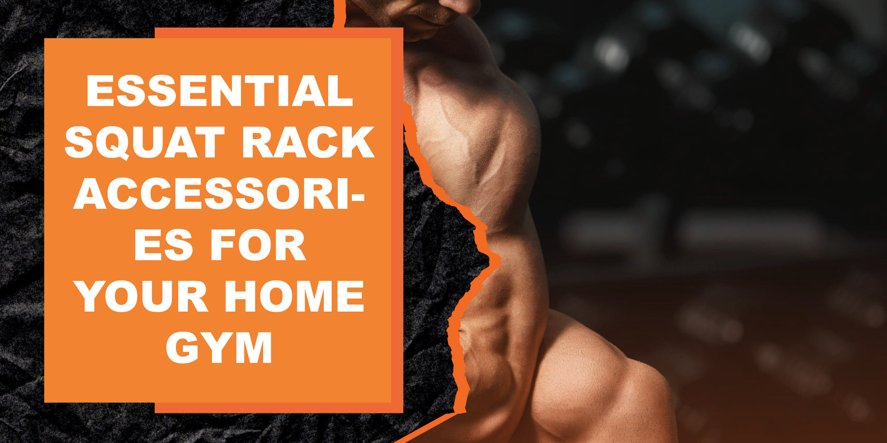 Essential Squat Rack Accessories for Your Home Gym | MAGMA Fitness