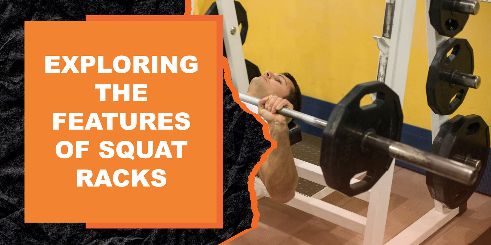 Squat Rack Feature Exploring the Features of Squat Racks | MAGMA Fitness