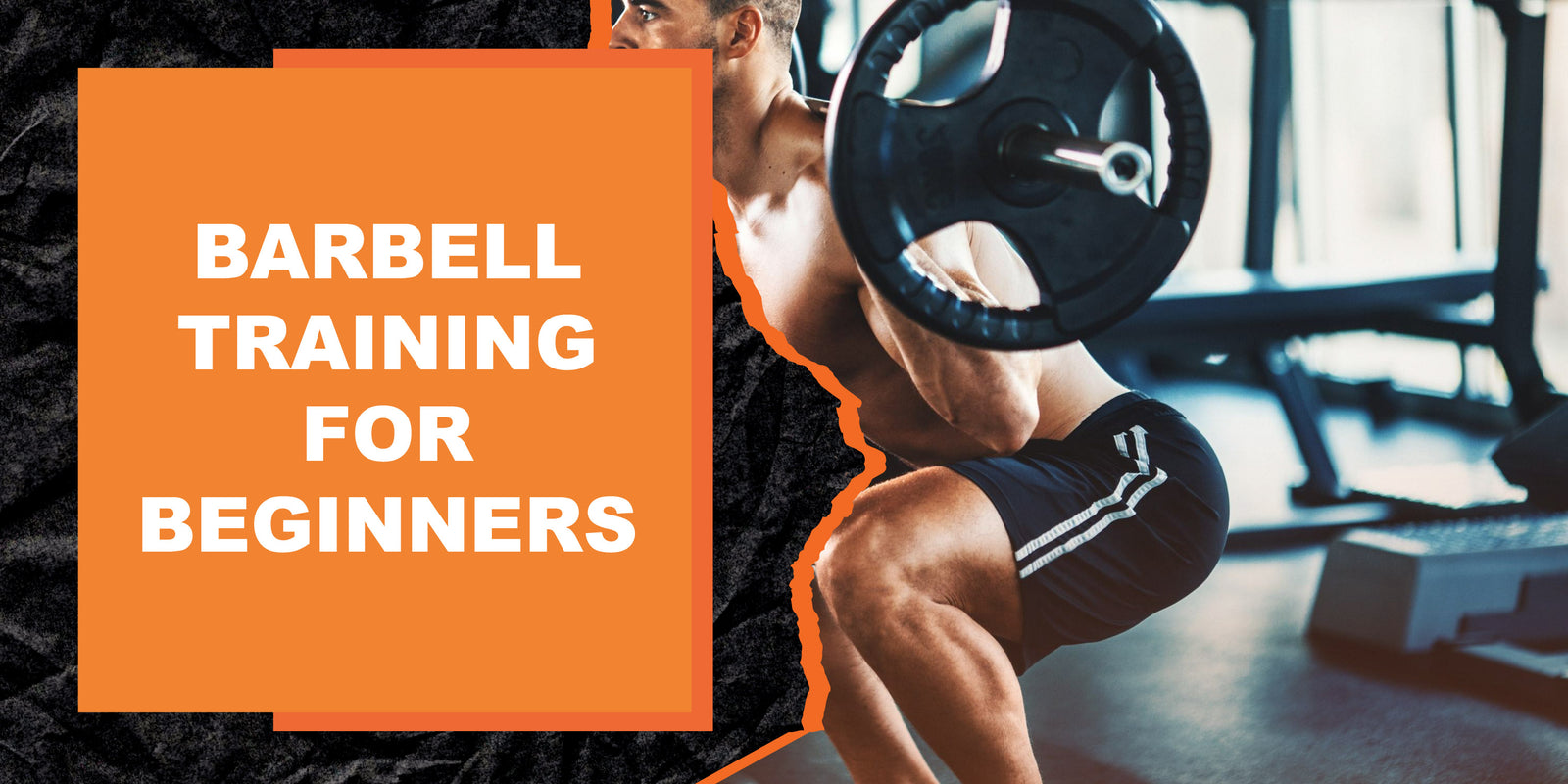 Barbell Training For Beginners 