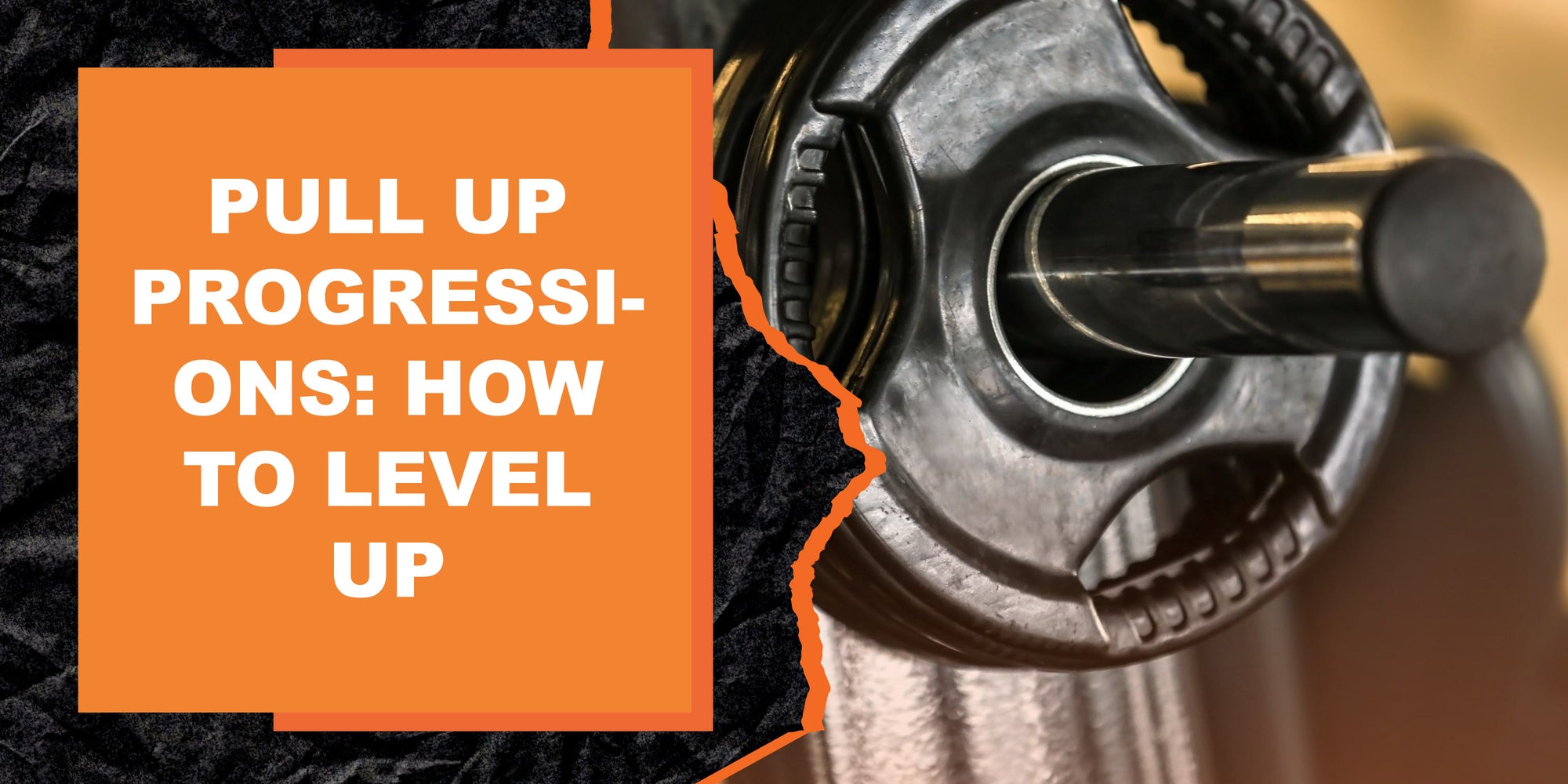 Pull Up Ranks Pull Up Progressions: How To Level Up | MAGMA Fitness
