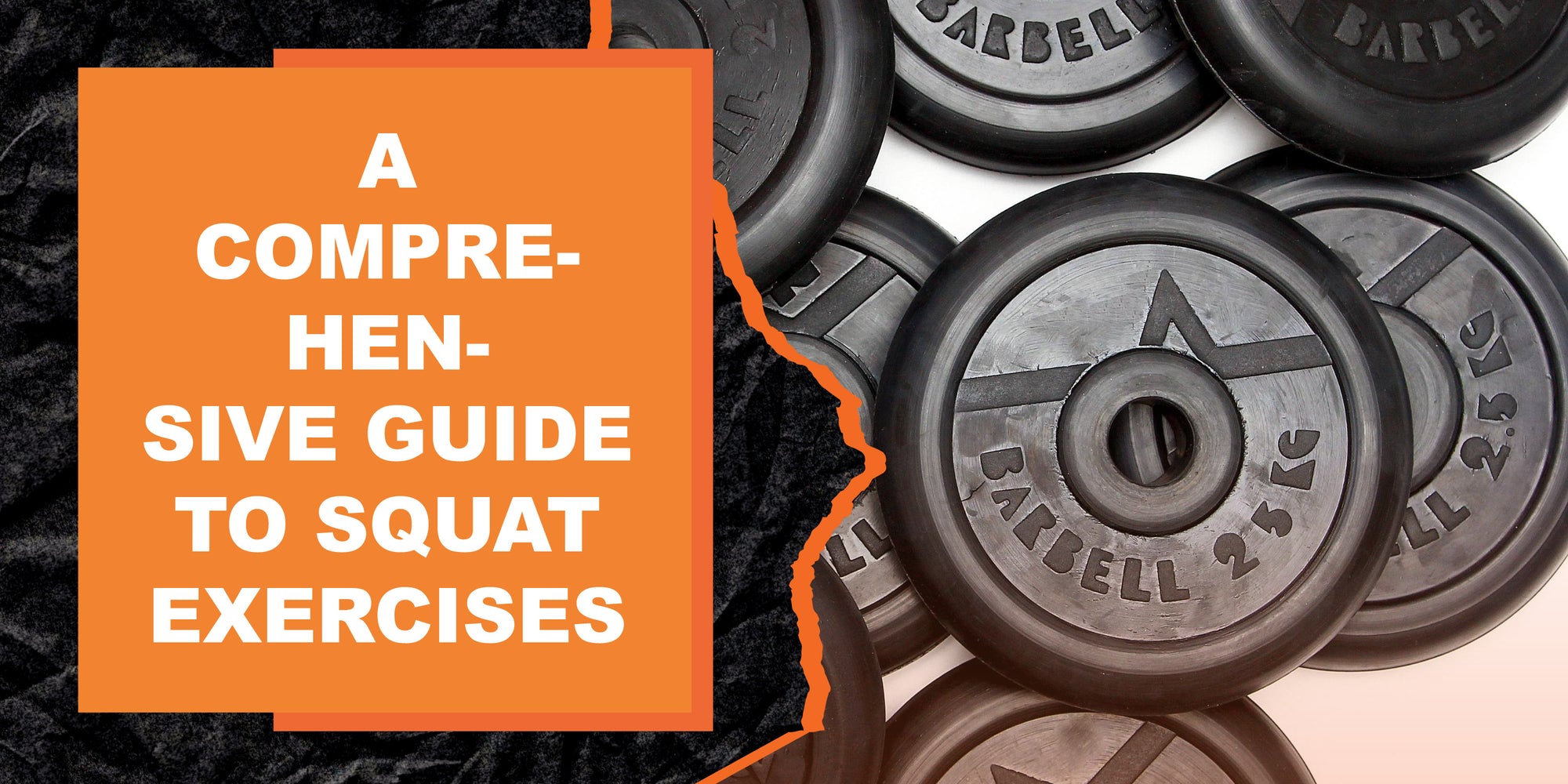 A Comprehensive Guide to Squat Exercises
