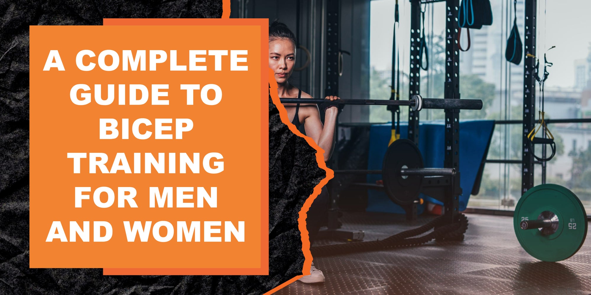 A Complete Guide to Bicep Training for Men and Women