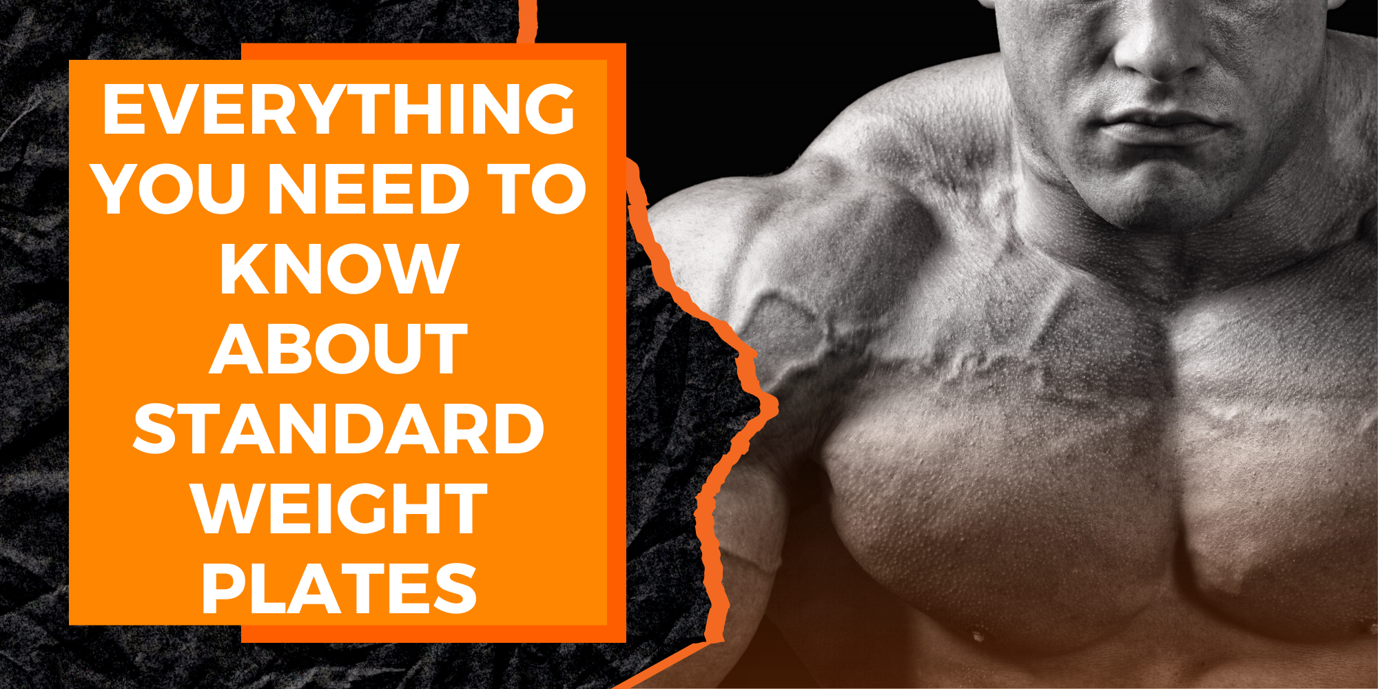 Everything You Need to Know About Standard Weight Plates