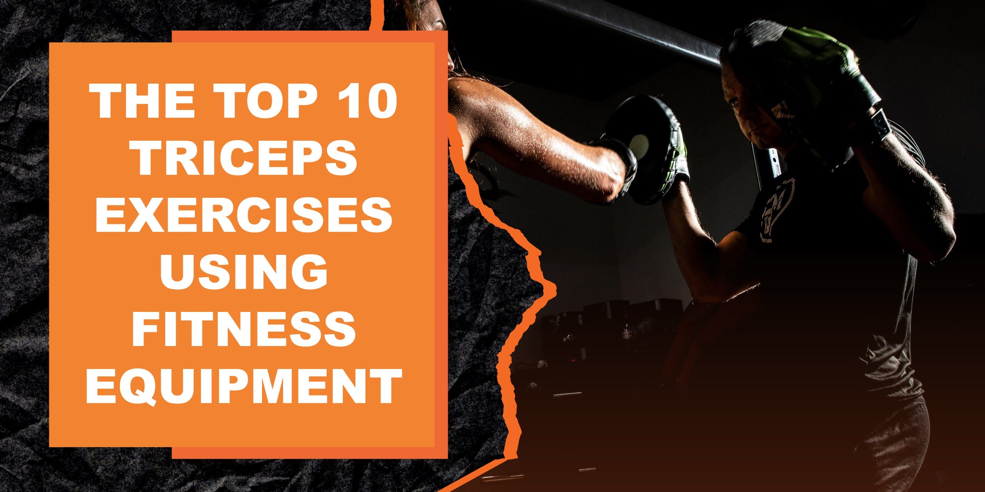The Top 10 Triceps Exercises Using Fitness Equipment