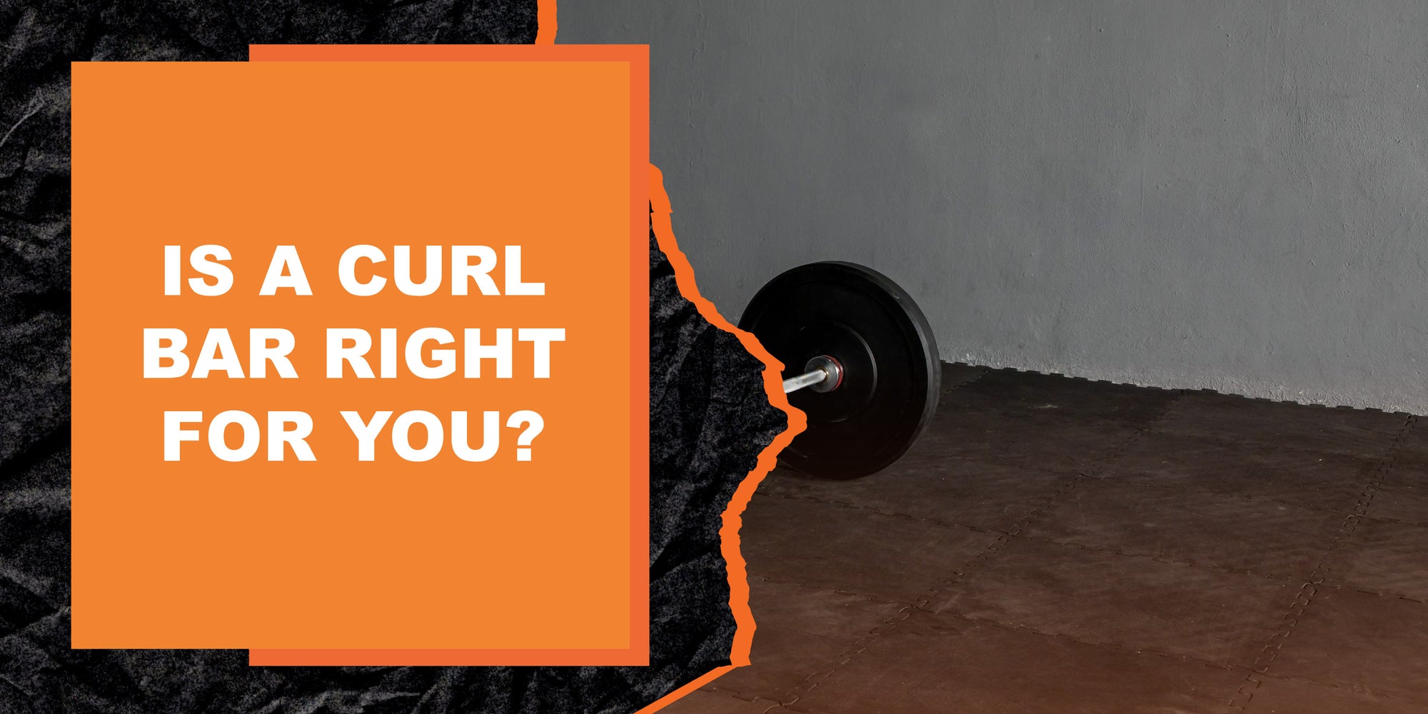 Is a Curl Bar Right For You?