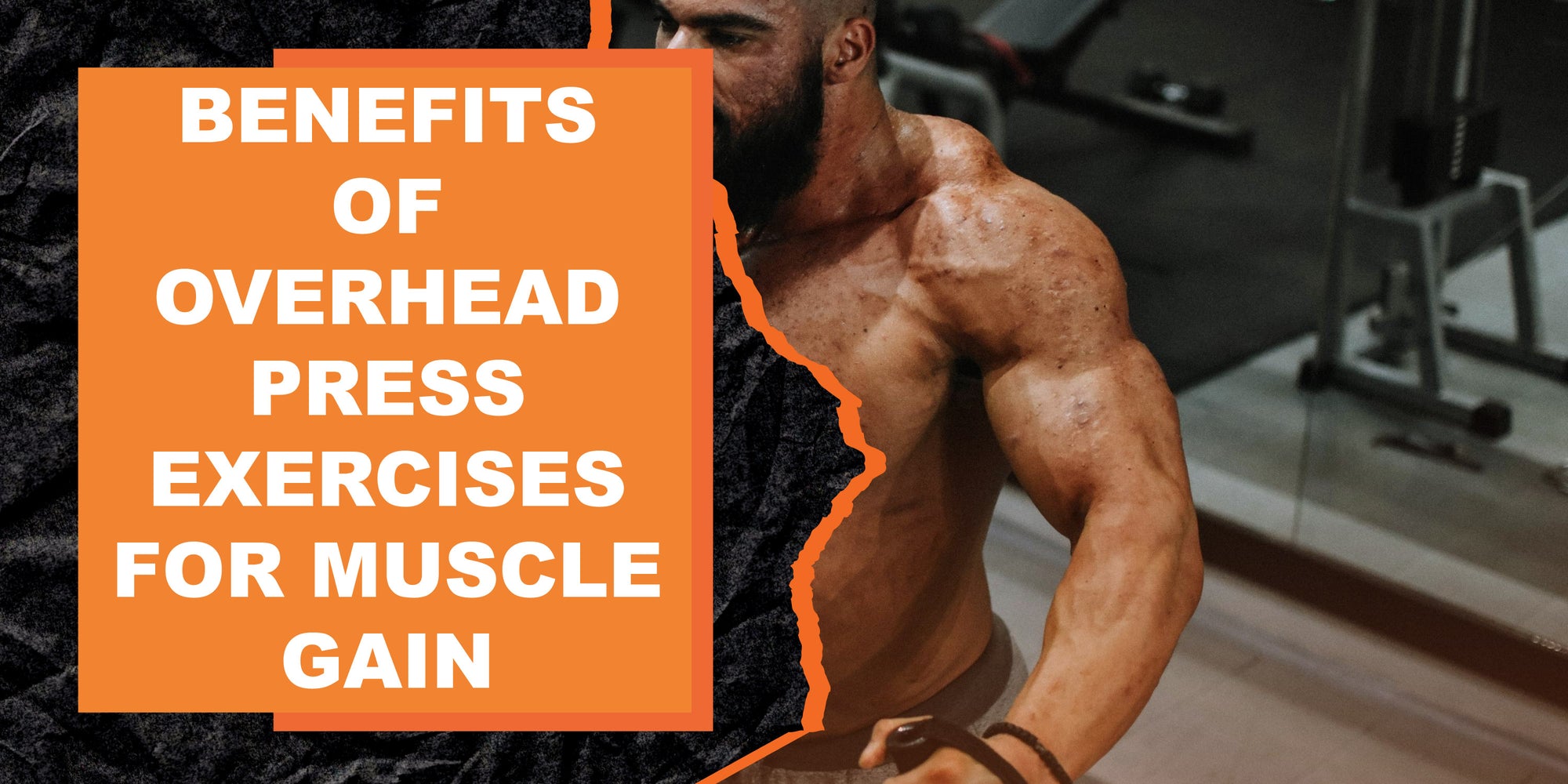 The Benefits of Overhead Press Exercises for Strength and Muscle Gain