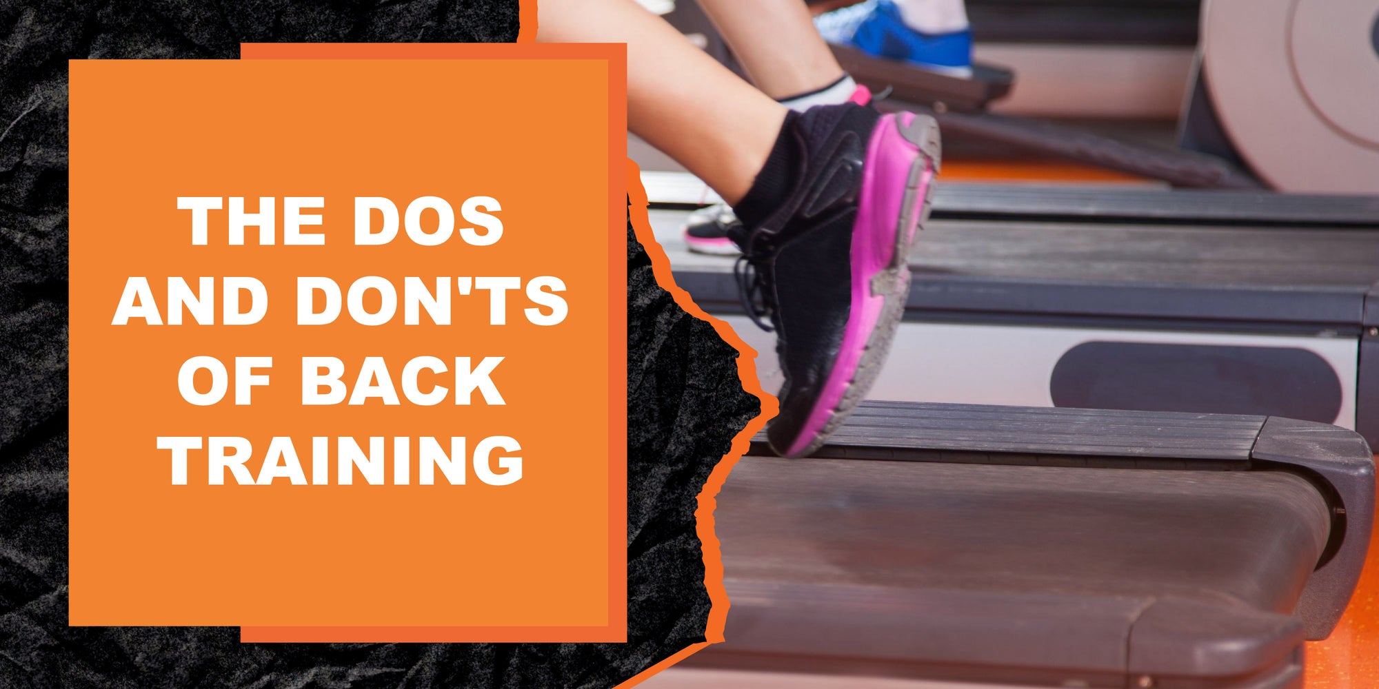 The Dos and Don'ts of Back Training