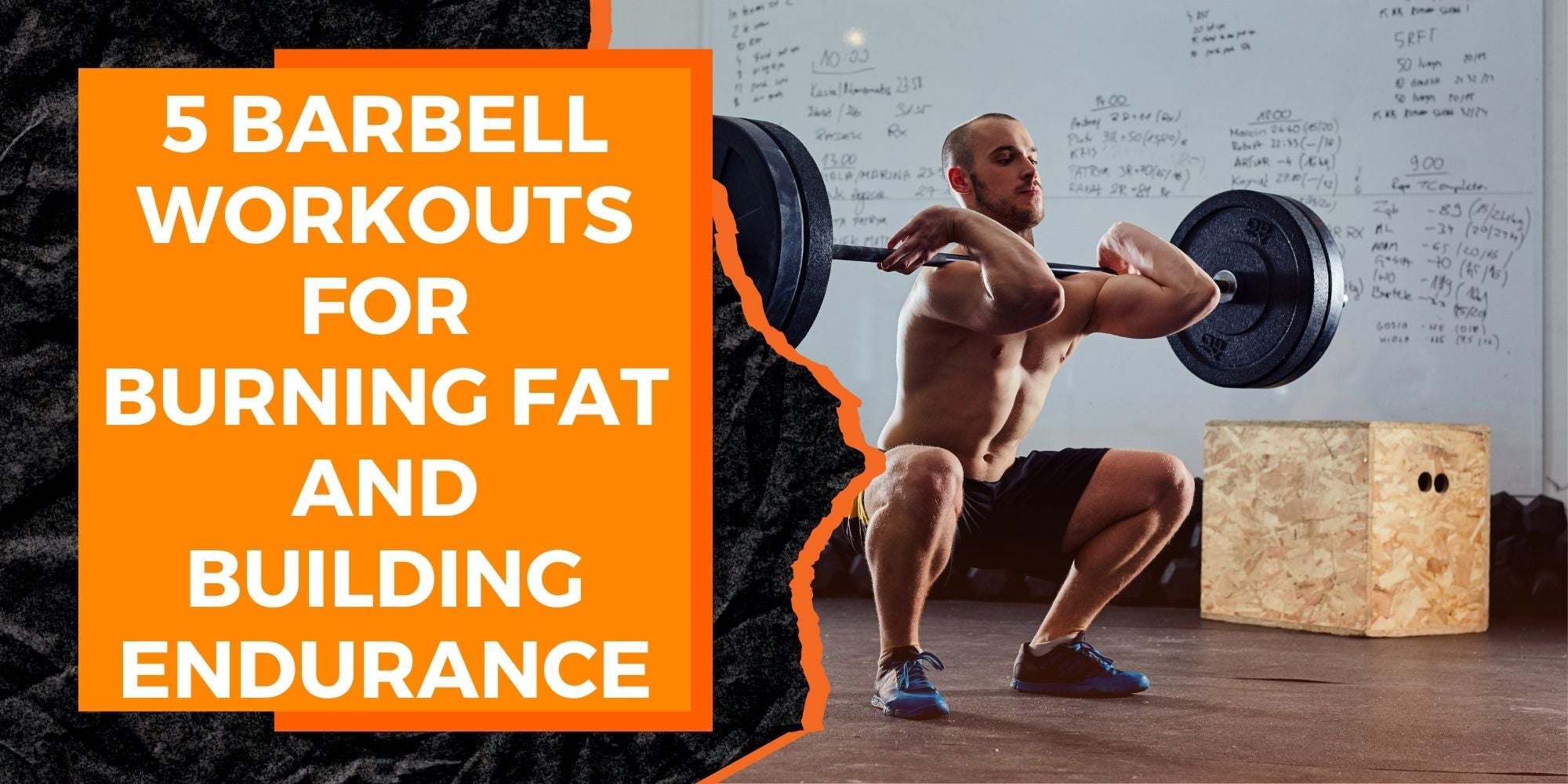 5 Barbell Workouts for Burning Fat and Building Endurance