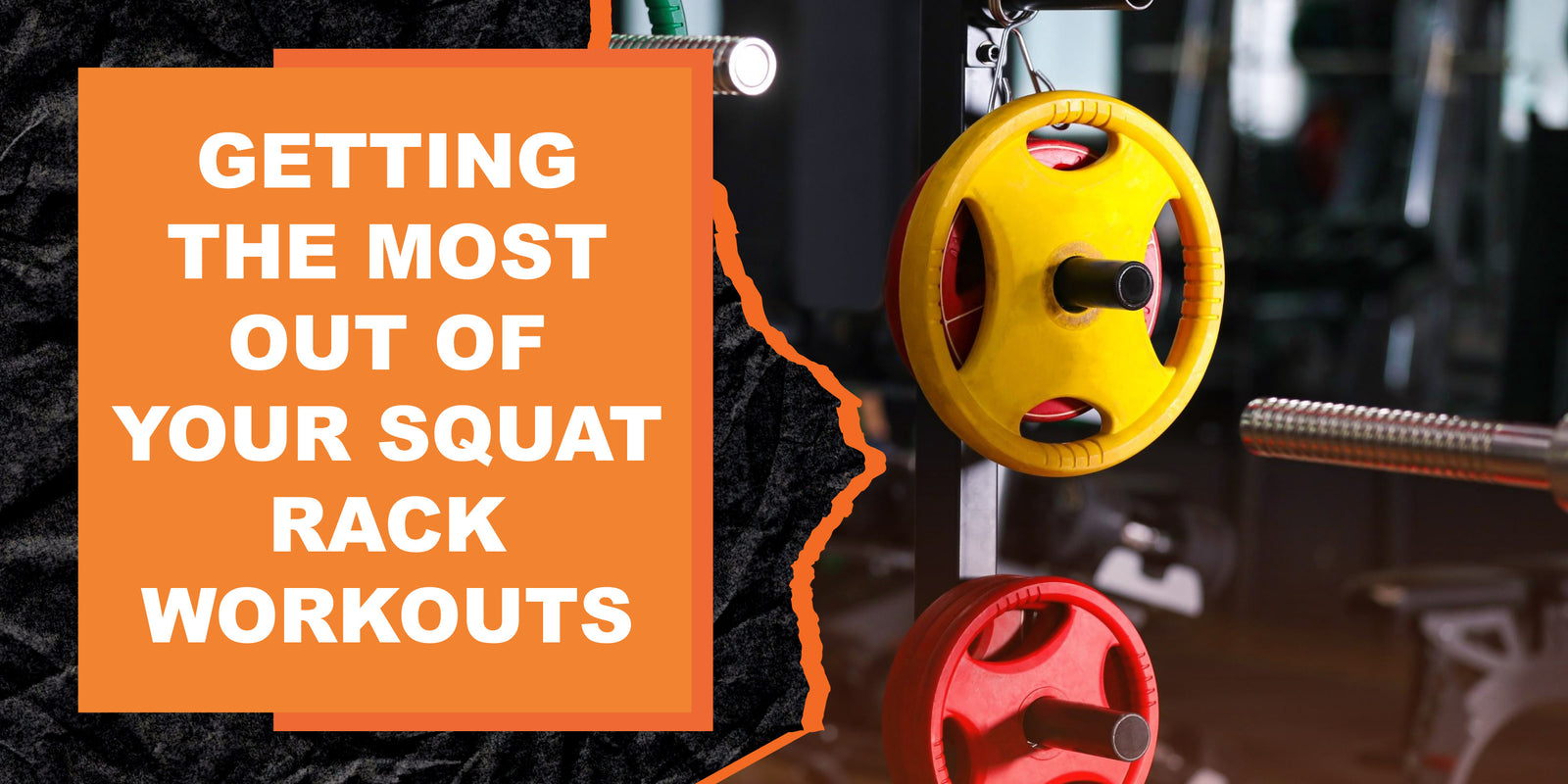 Weight Rack Workout Routine Getting the Most Out of Your Squat Rack Workouts | MAGMA Fitness