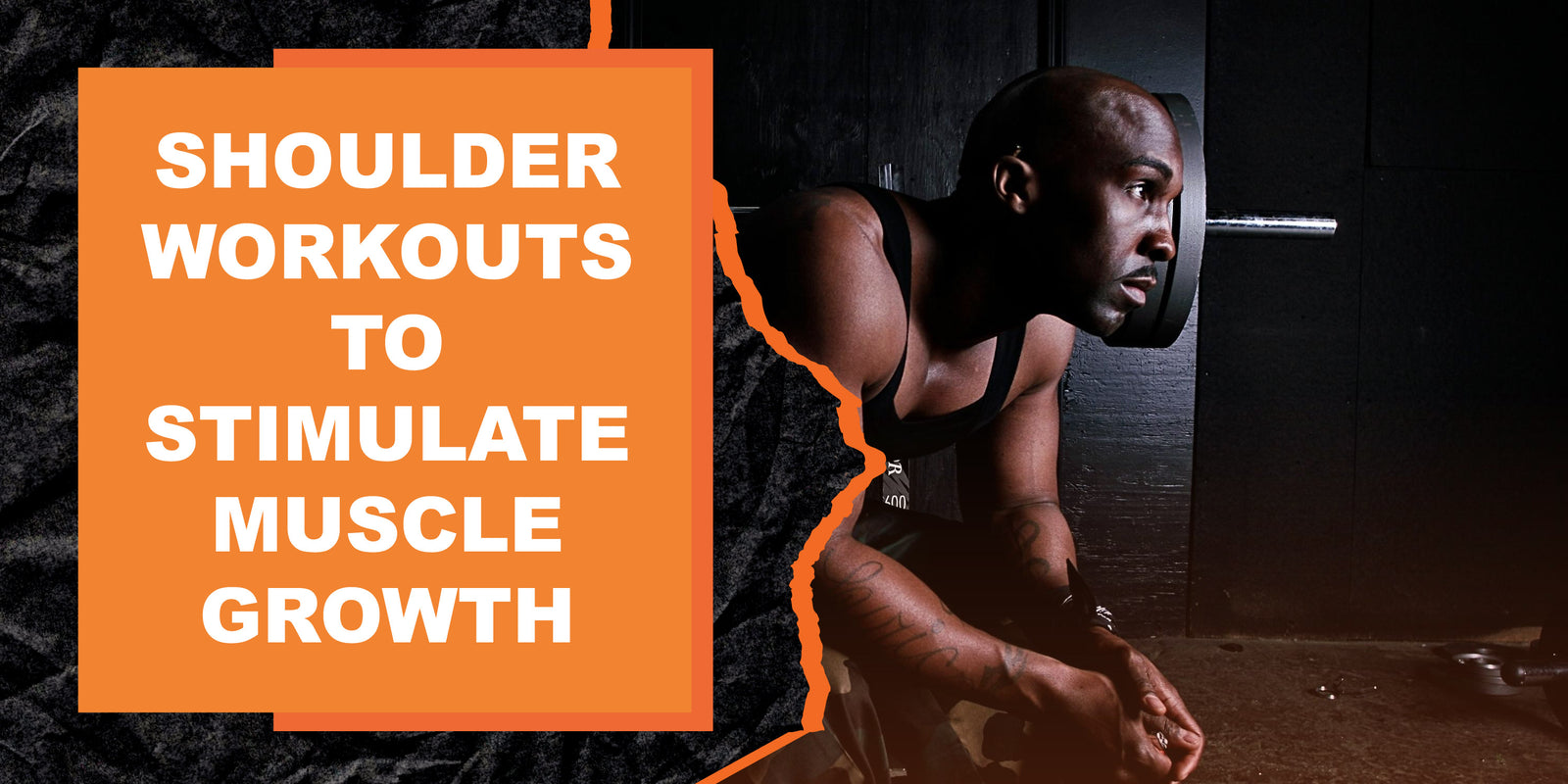 Shoulder Workouts to Stimulate Muscle Growth