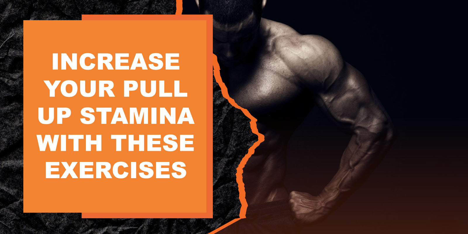 Increase Your Pull Up Stamina Through Strengthening Exercises