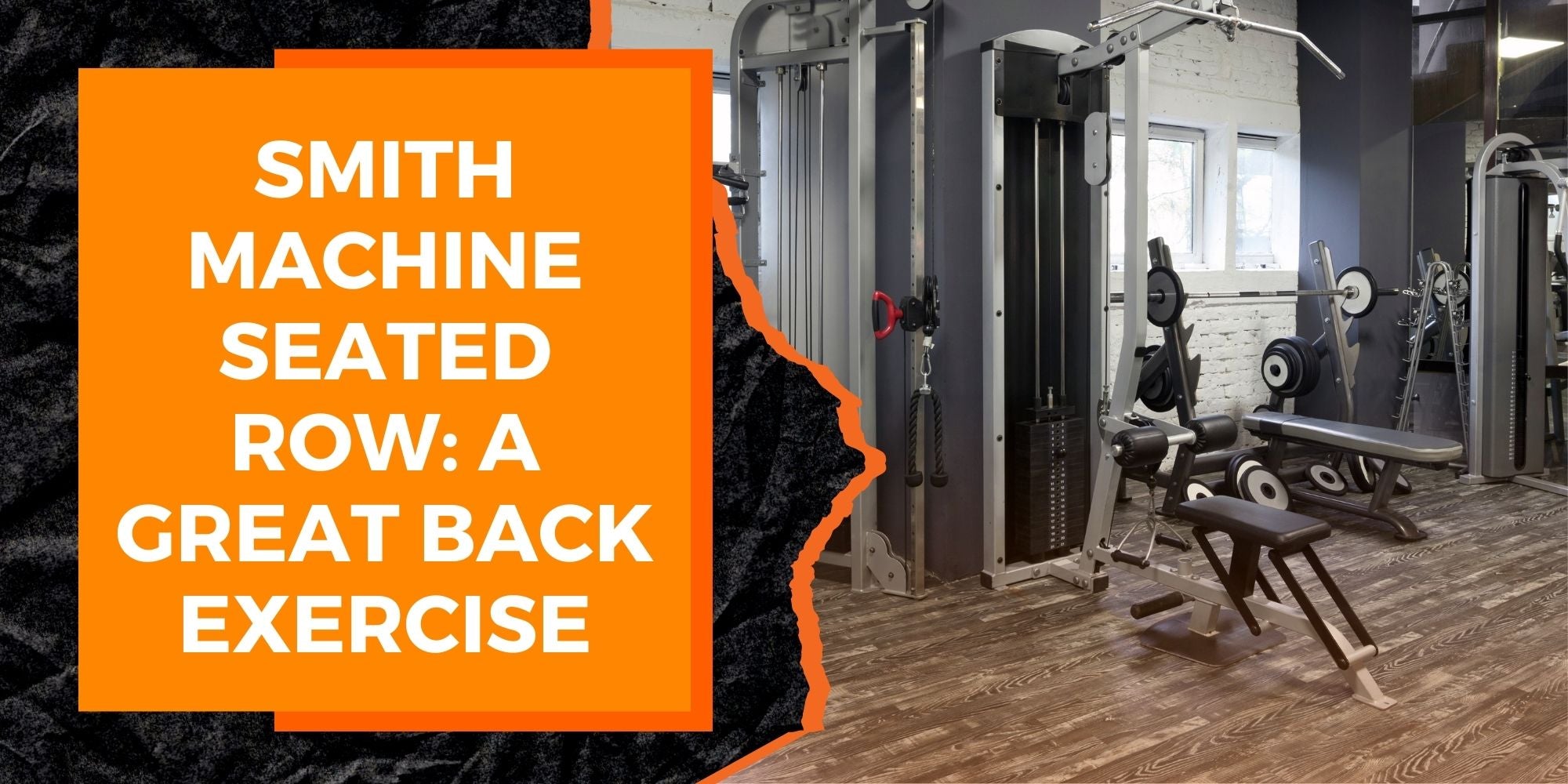Smith Machine Seated Row: A Great Back Exercise | MAGMA Fitness