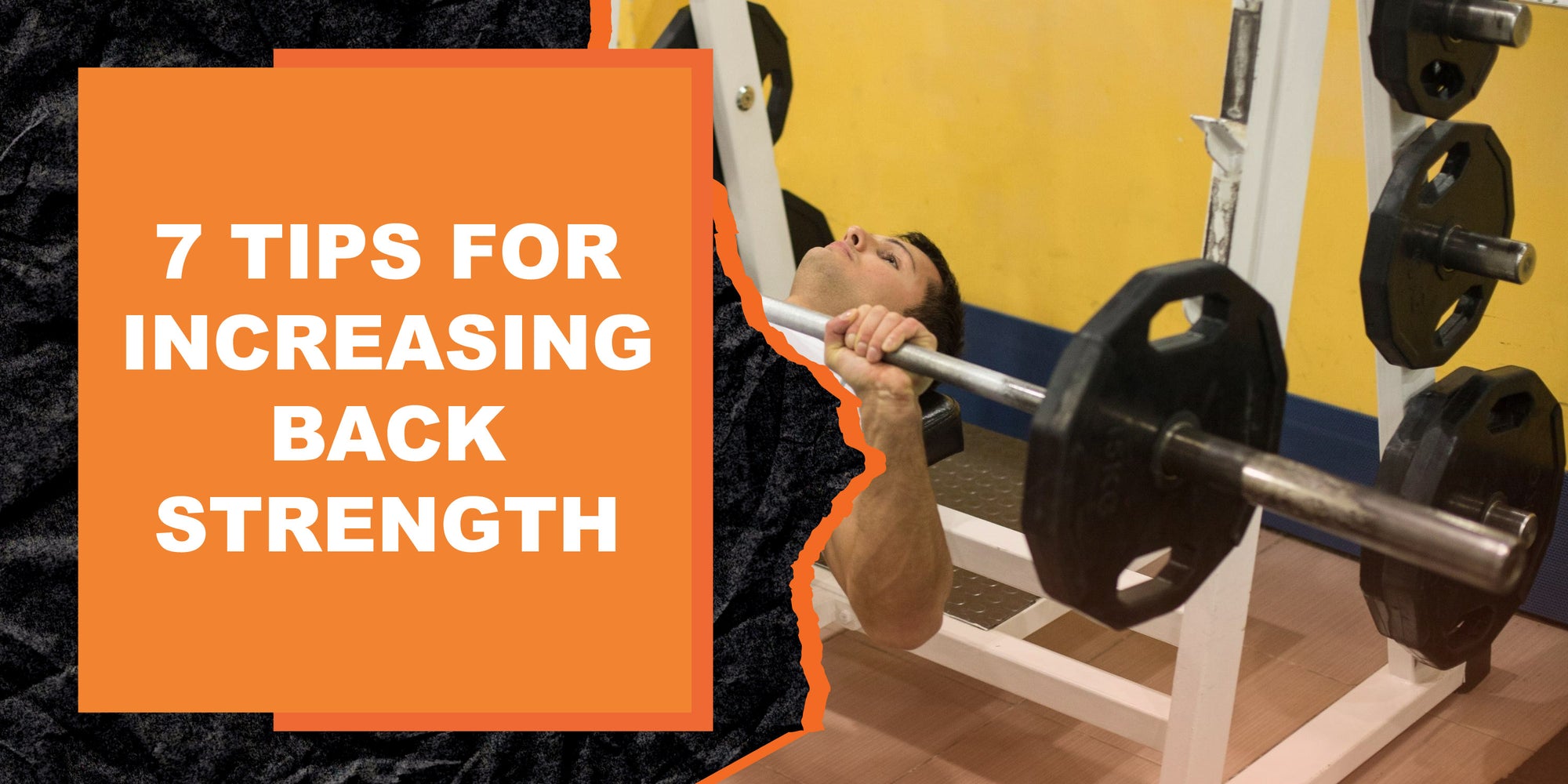 7 Tips for Increasing Back Strength | MAGMA Fitness