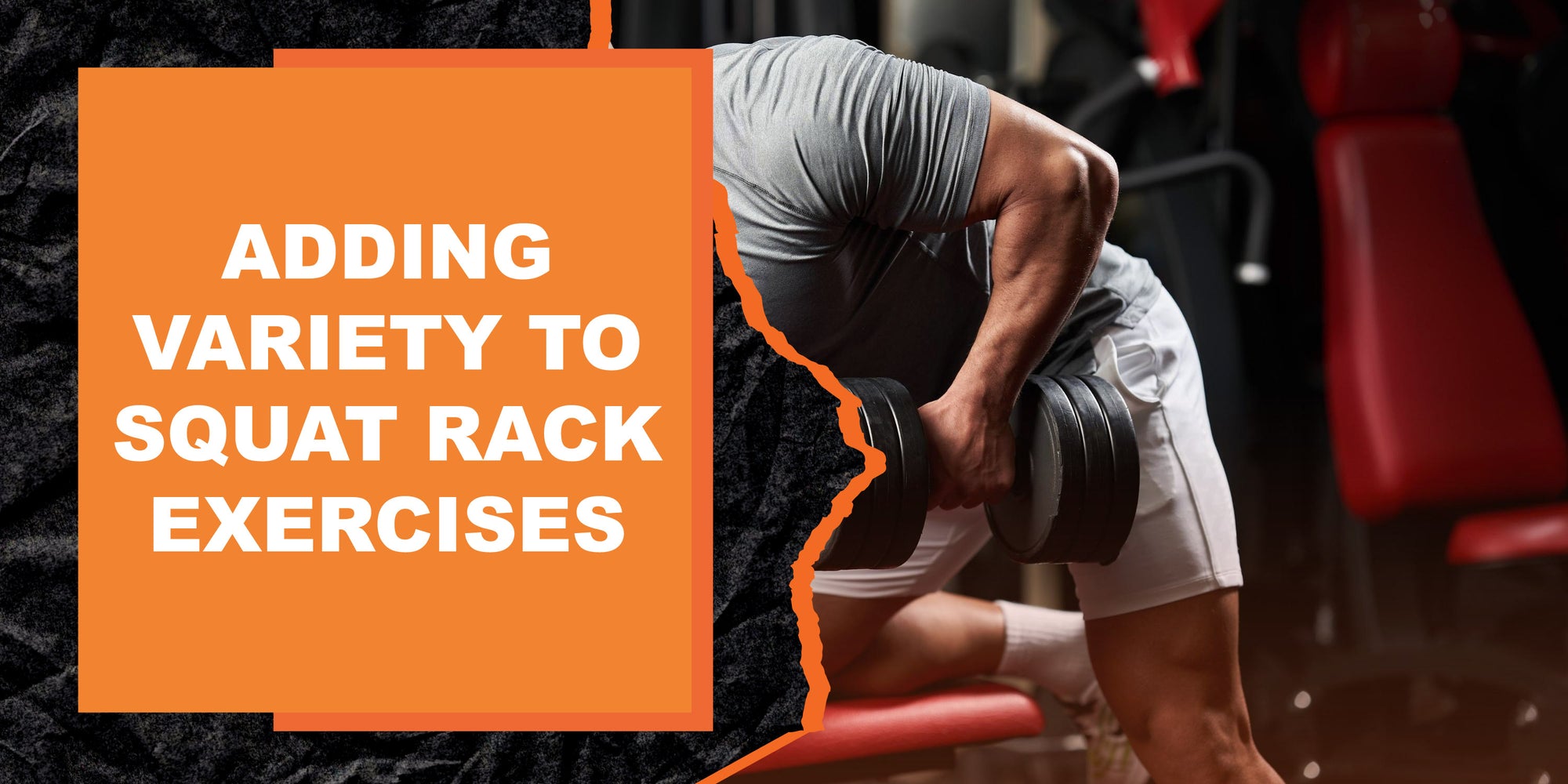 Adding Variety to Squat Rack Exercises