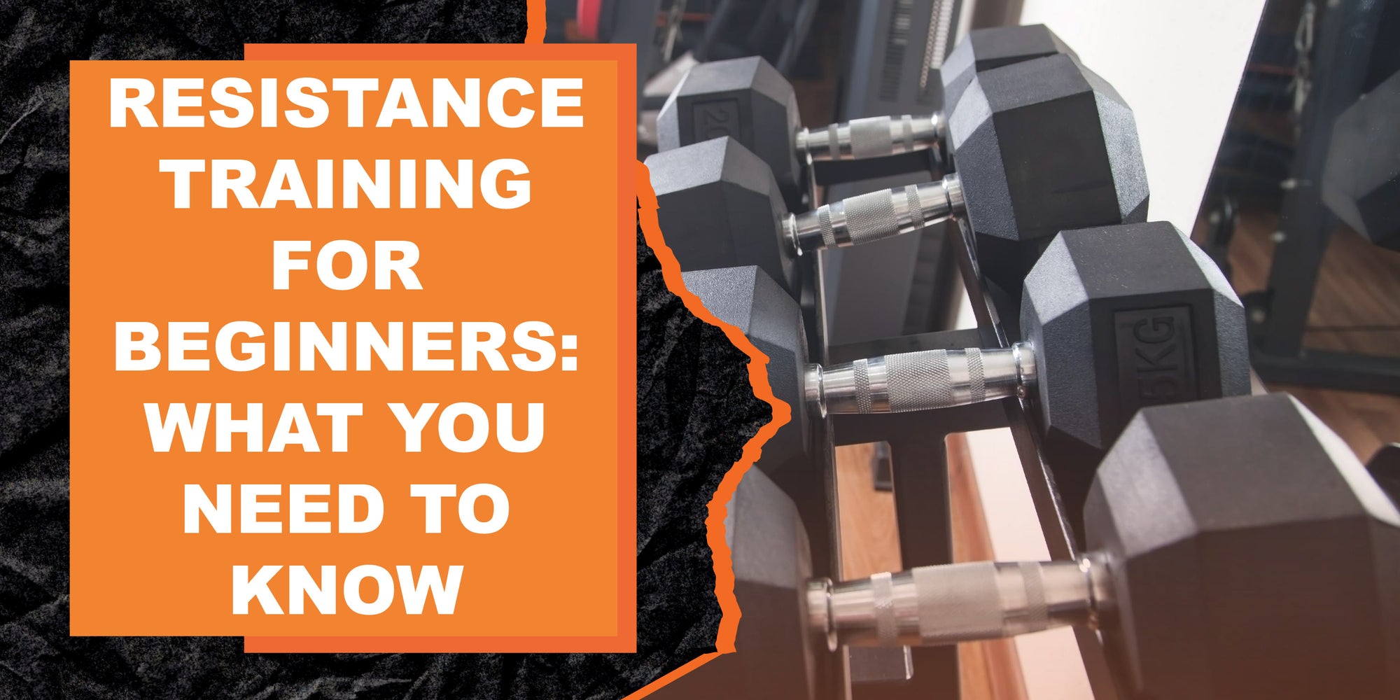 Resistance Training For Beginners What You Need To Know MAGMA Fitness resistance-training-for-beginners-what-you-need-to-know-magma-fitness