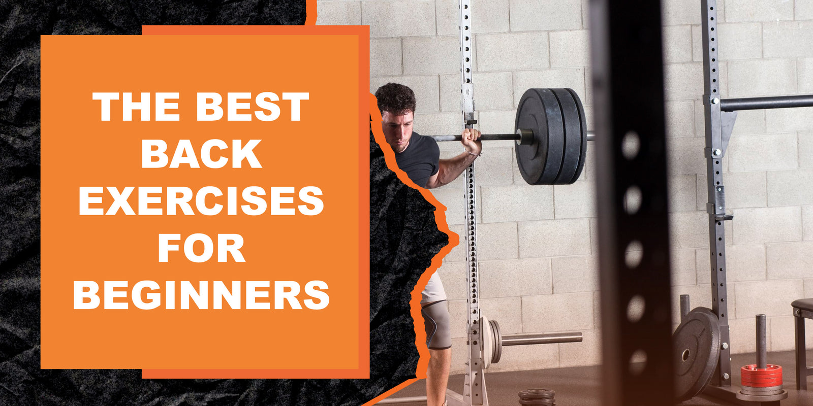 The Best Back Exercises for Beginners MAGMA Fitness