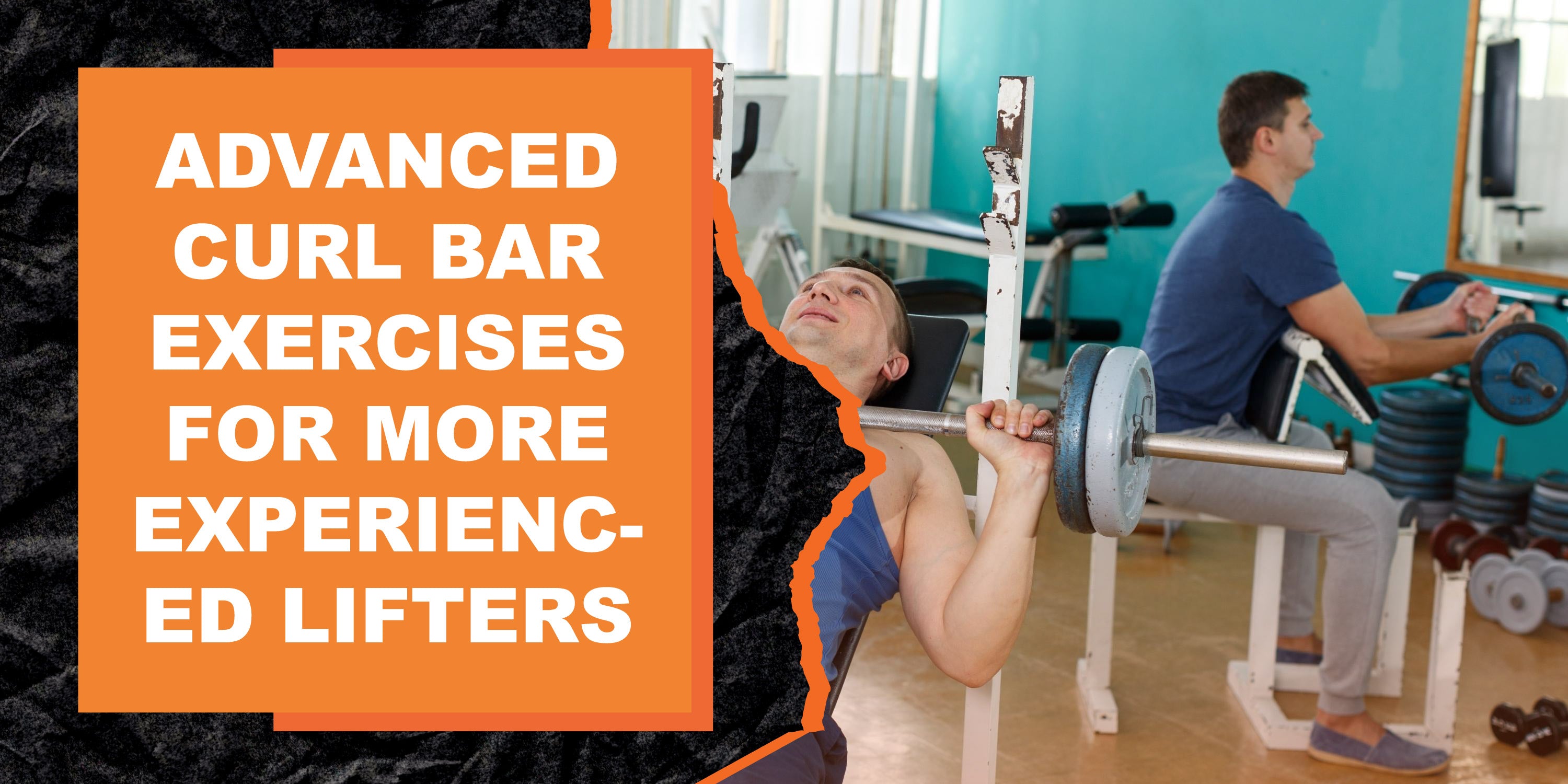 Advanced Curl Bar Exercises for More Experienced Lifters | MAGMA Fitness