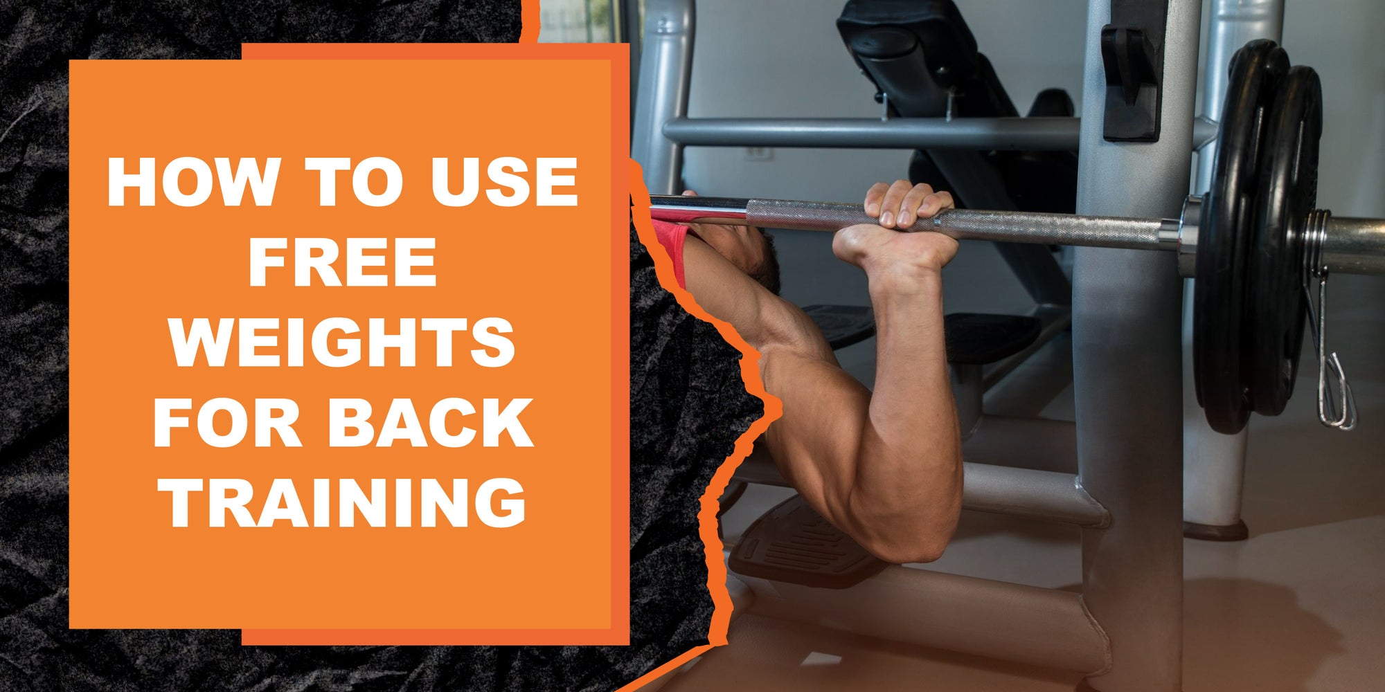 How to Use Free Weights for Back Training