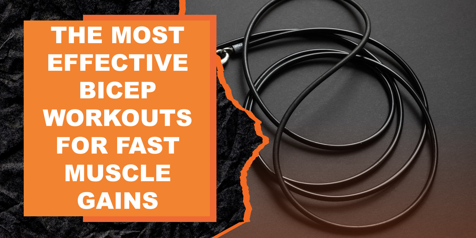 The Most Effective Bicep Workouts for Fast Muscle Gains