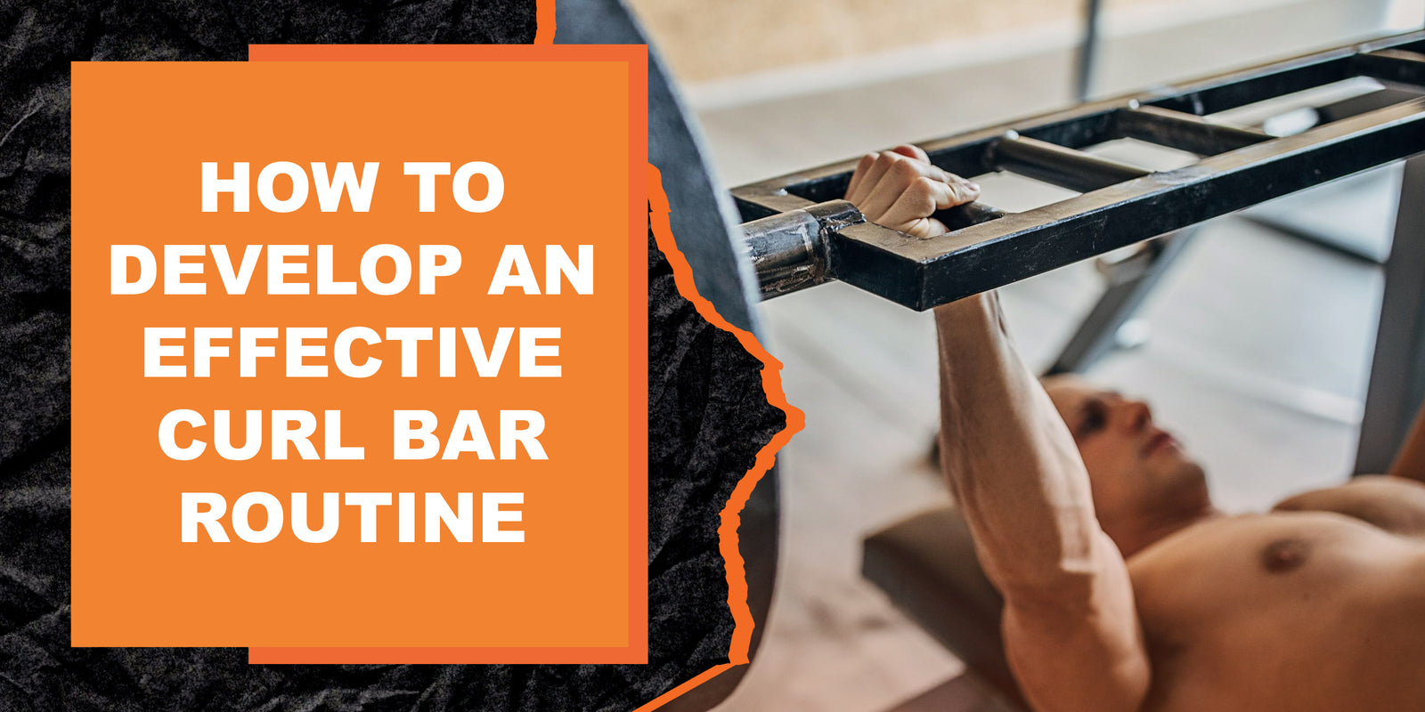 How to Develop an Effective Curl Bar Routine