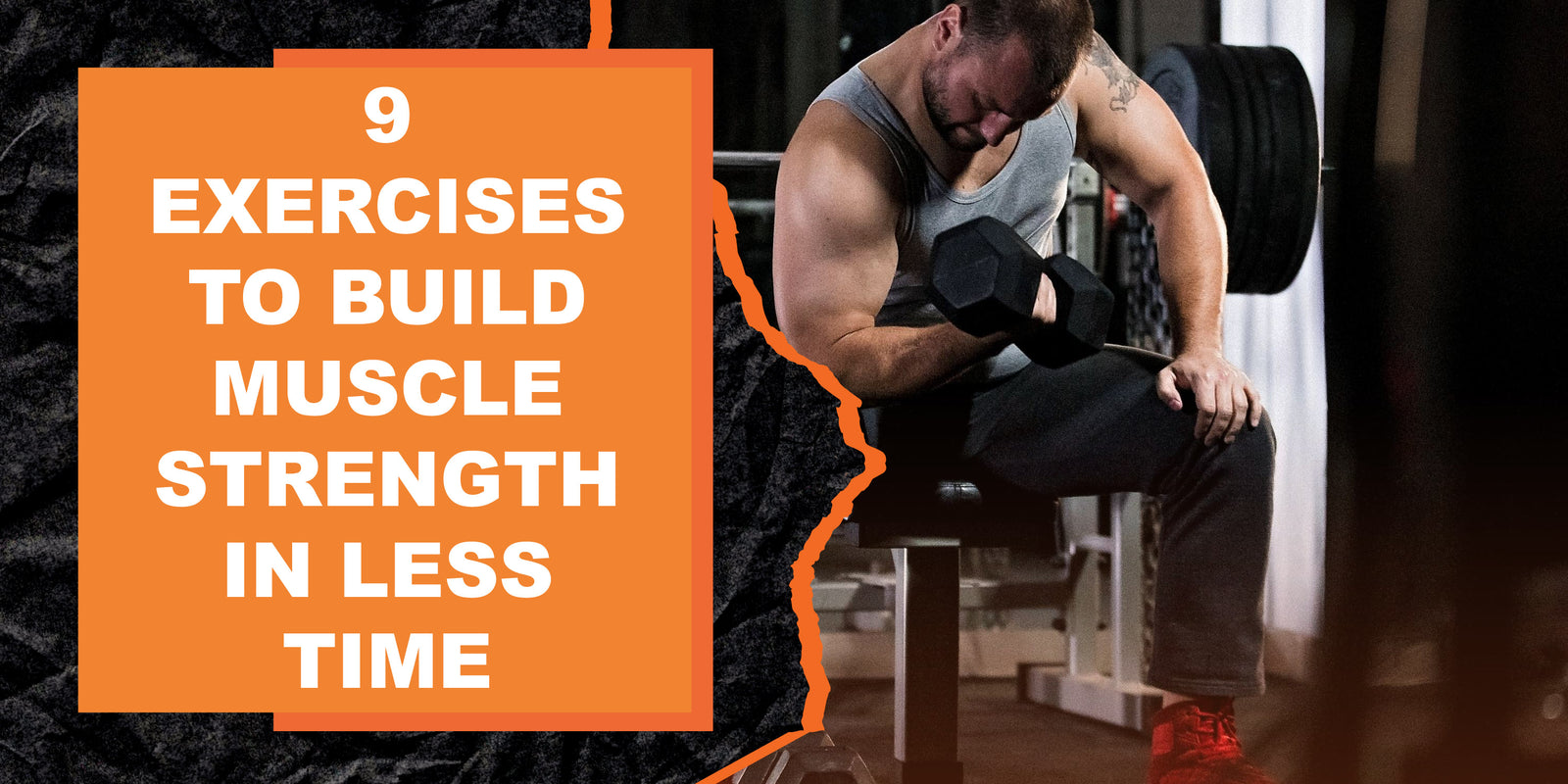 9 Exercises to Build Muscle Strength in Less Time | MAGMA Fitness