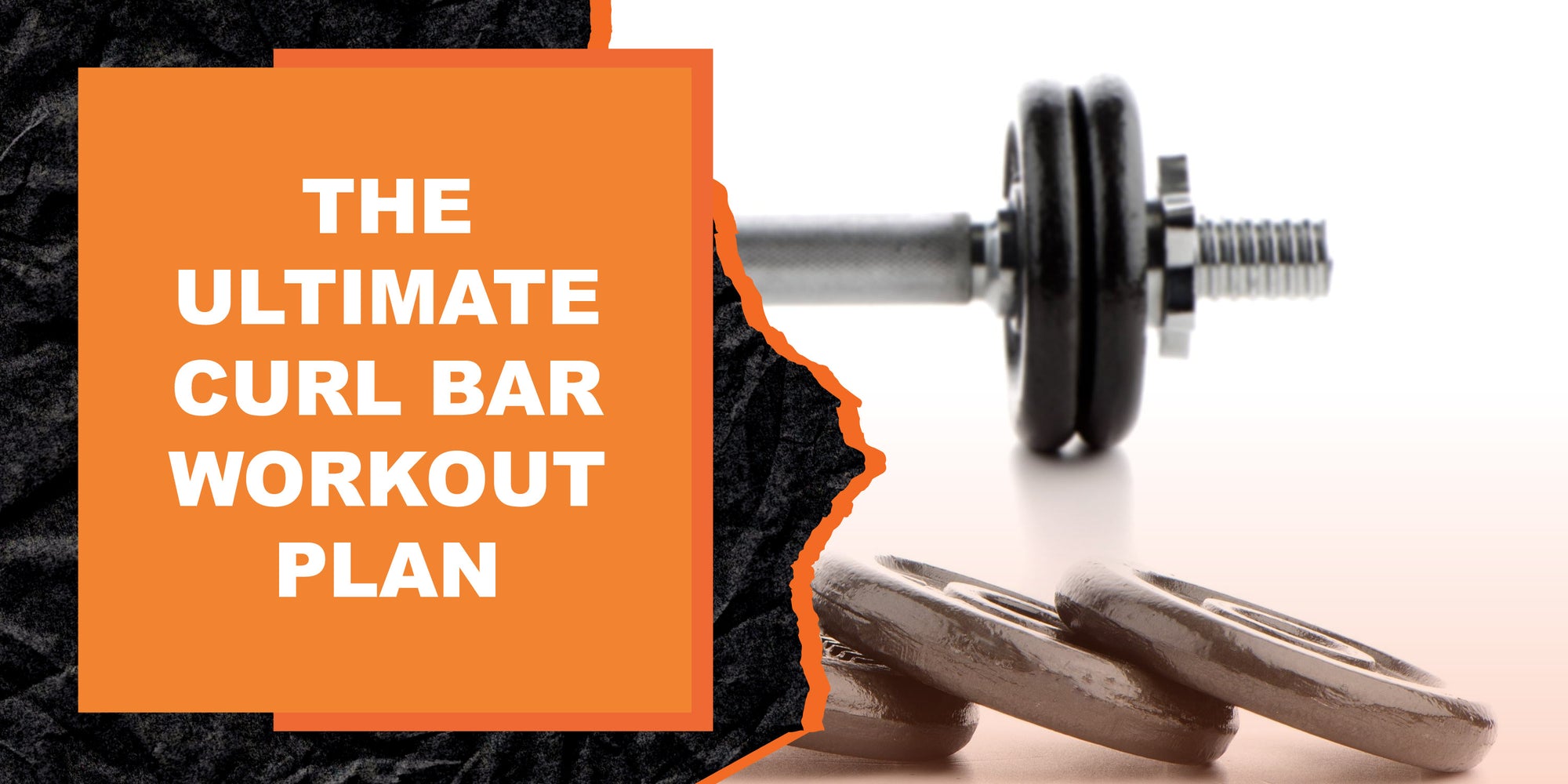 The Ultimate Curl Bar Workout Plan