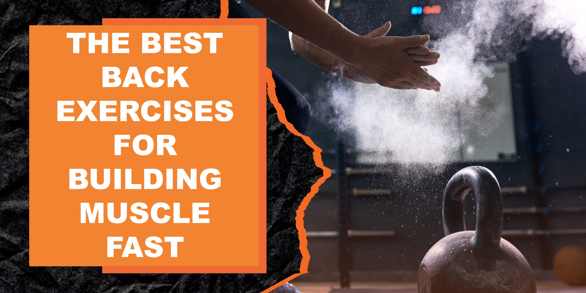 The Best Back Exercises for Building Muscle Fast