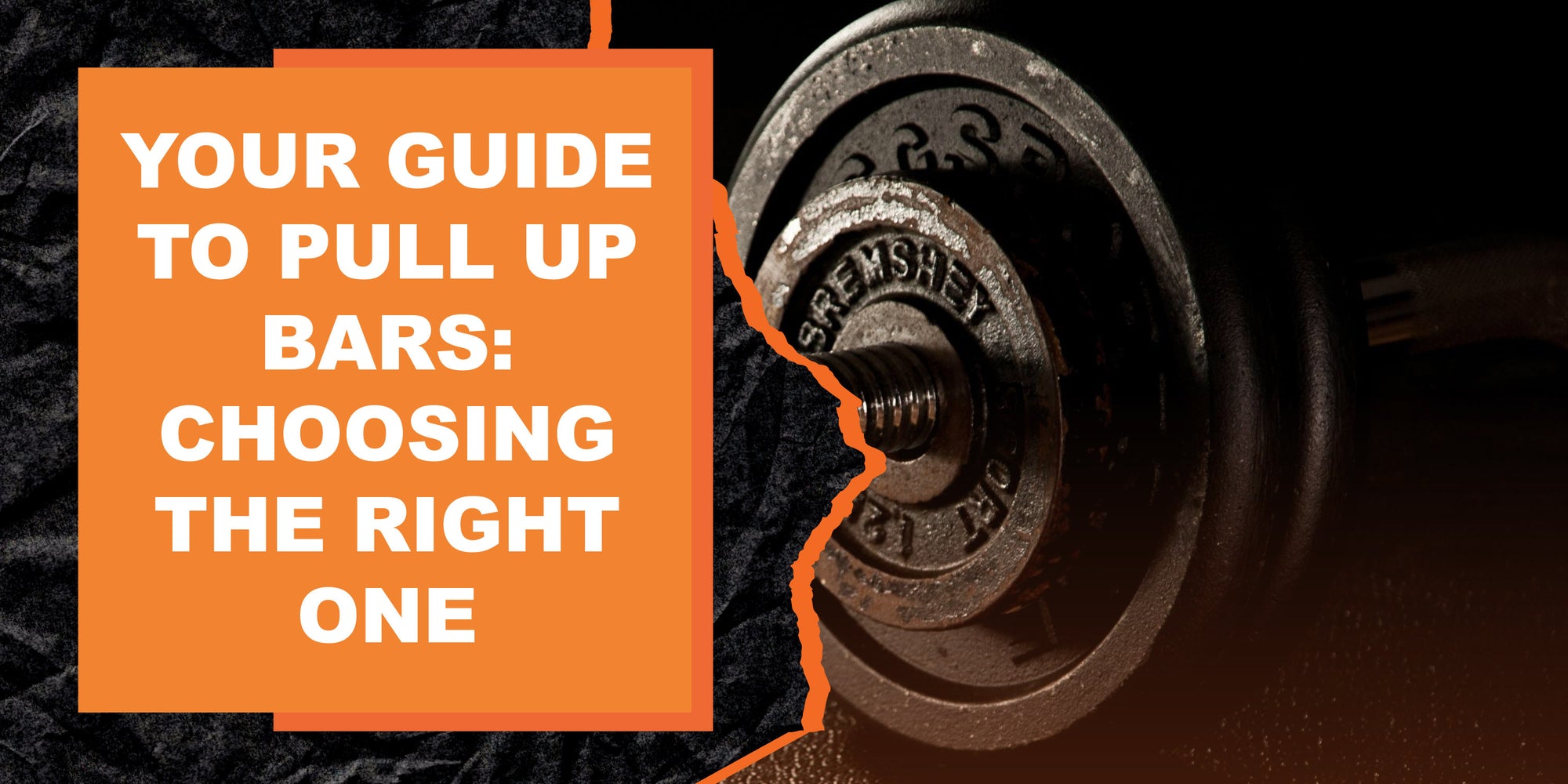 Your Guide to Pull Up Bars: Choosing the Right One